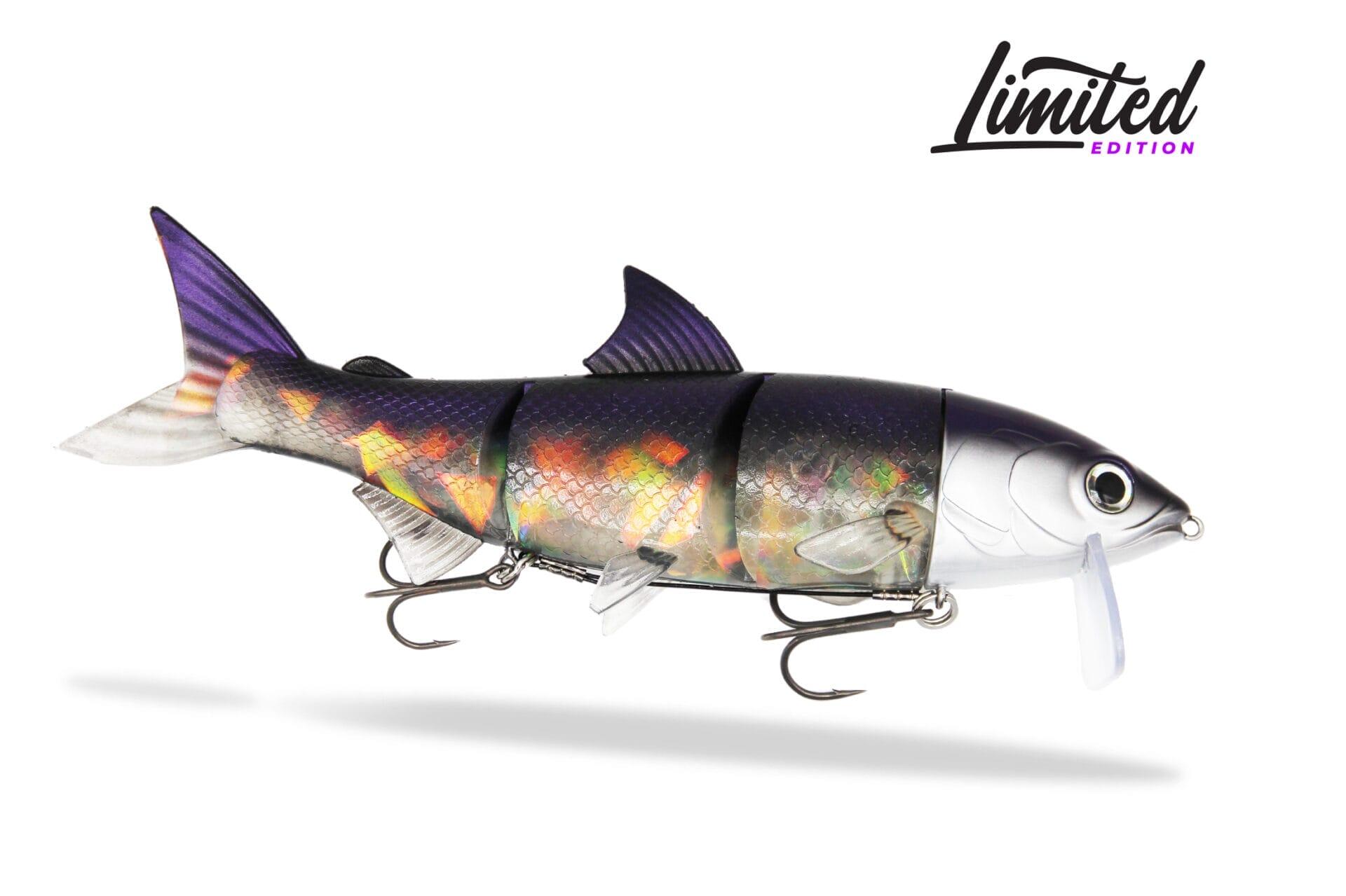 FISHINGGHOST Esca morbida siliconica - Renky One 25cm – Purple Crystal