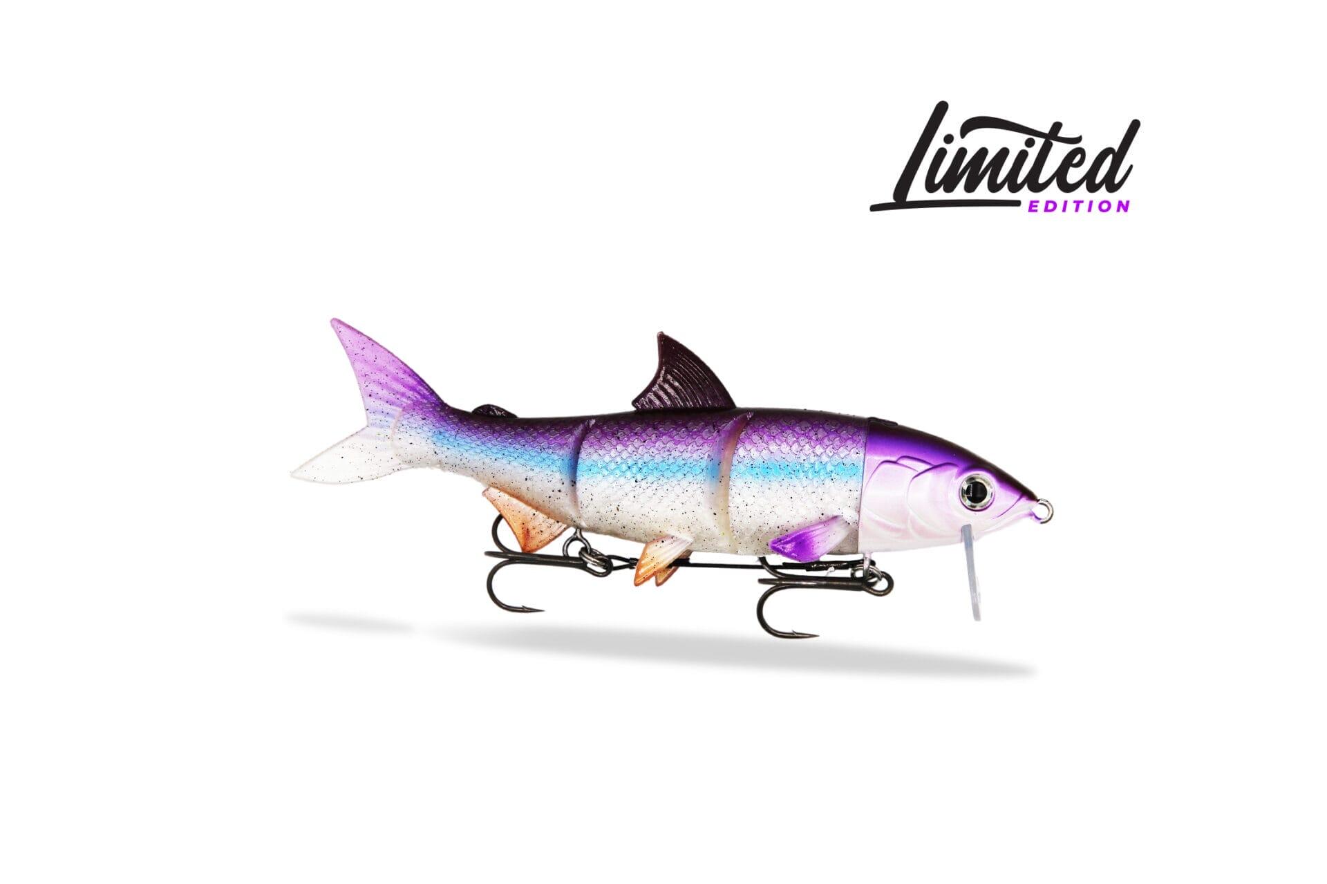 FISHINGGHOST Esca morbida siliconica - Renky One 18cm – Purple Lady