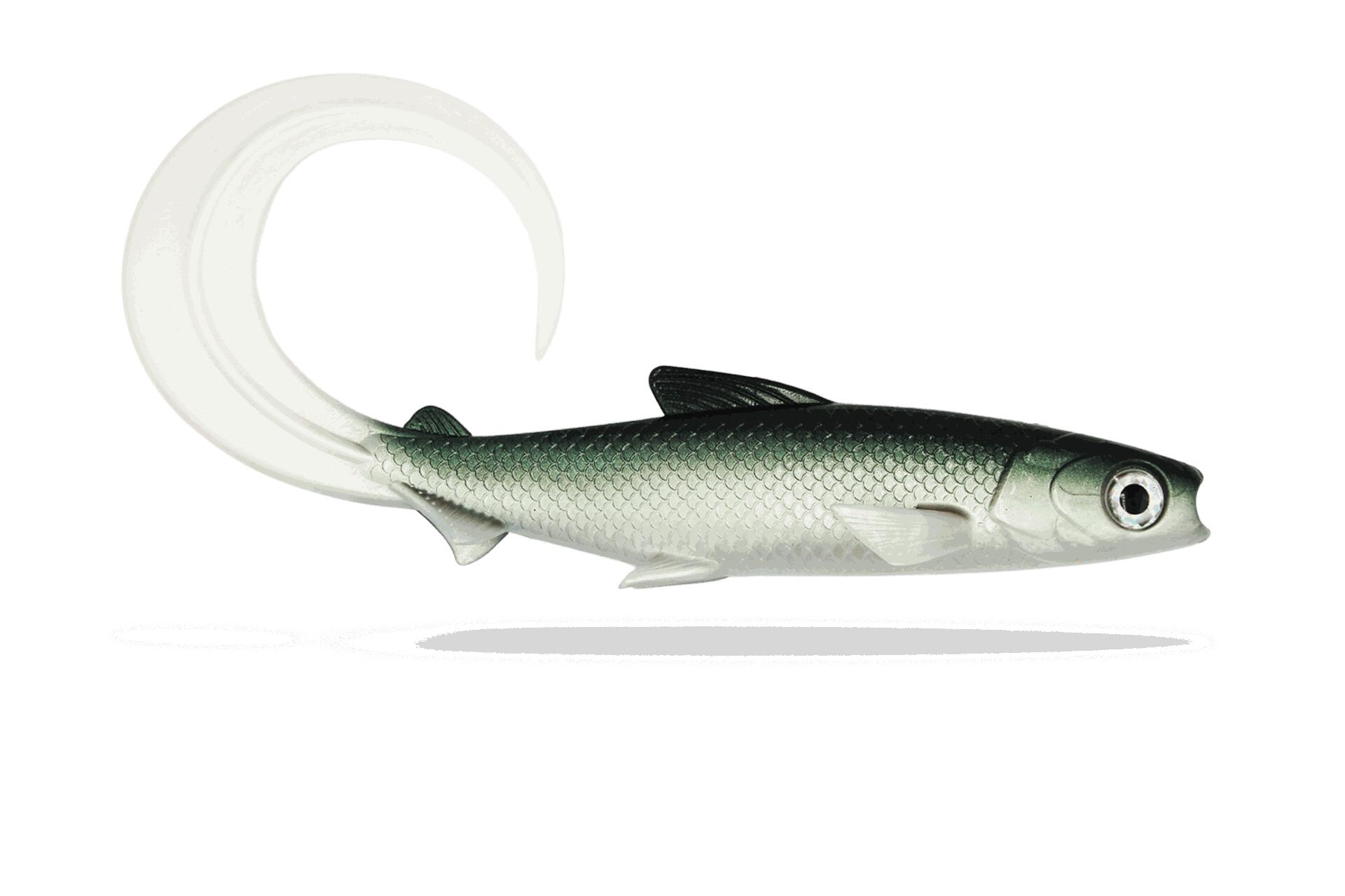 FISHINGGHOST picture