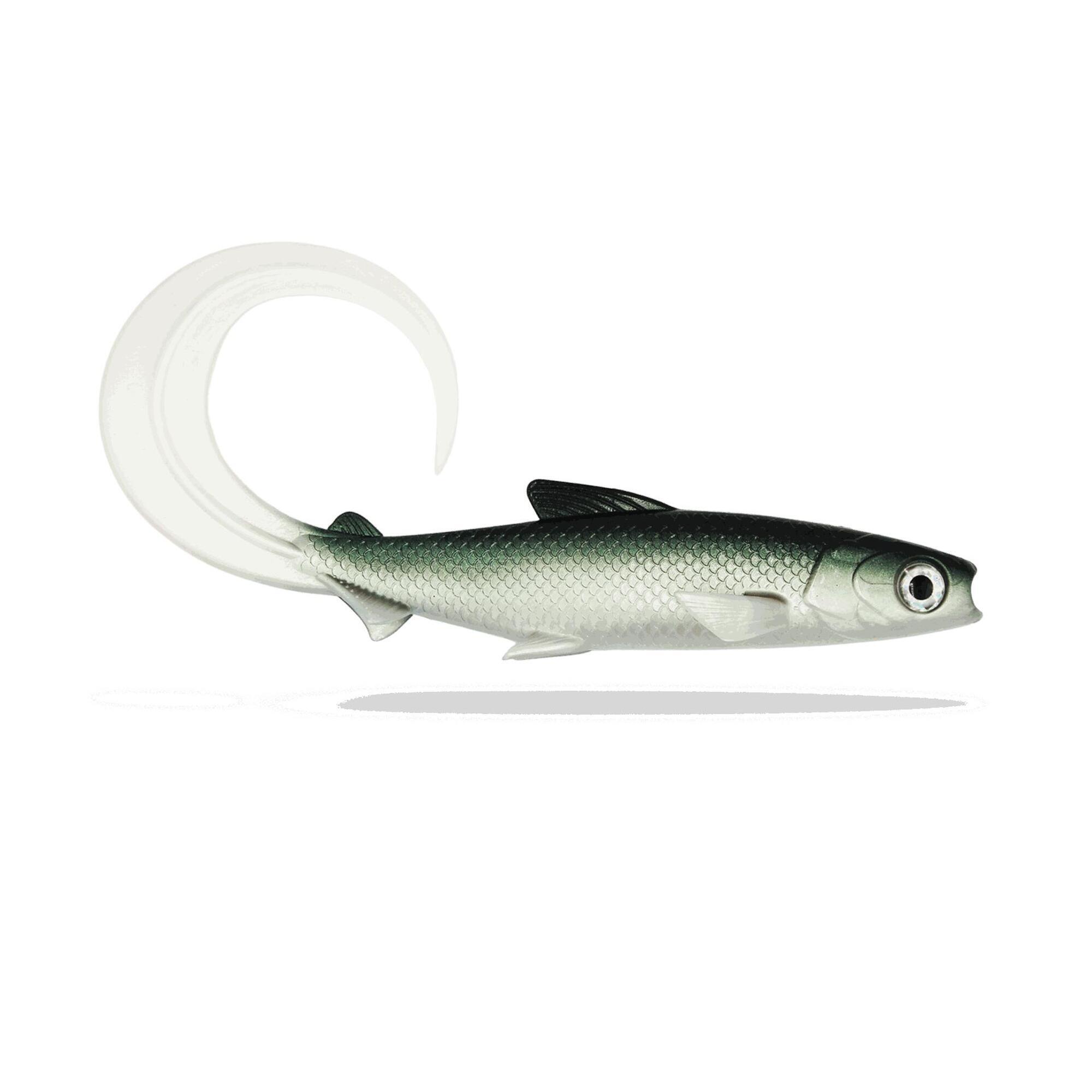 Fishing Ghost - Renky Shad 35cm - Curly Tail - White Fish