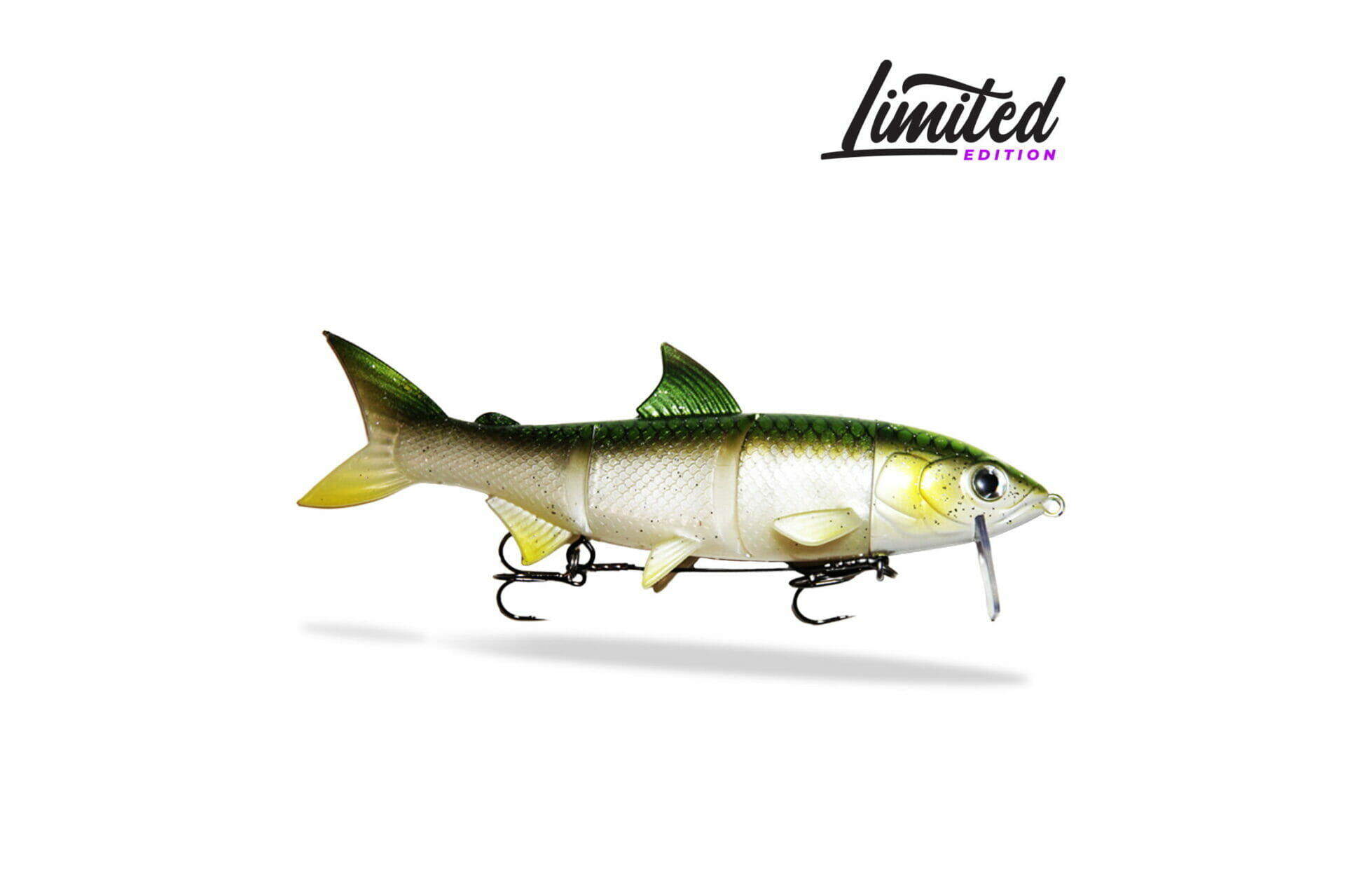 FISHINGGHOST Renky One Soft Lure 18 cm Shad with Paddle