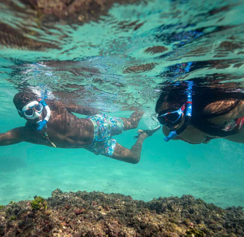 U.S. Divers Avila Adult Snorkel Combo