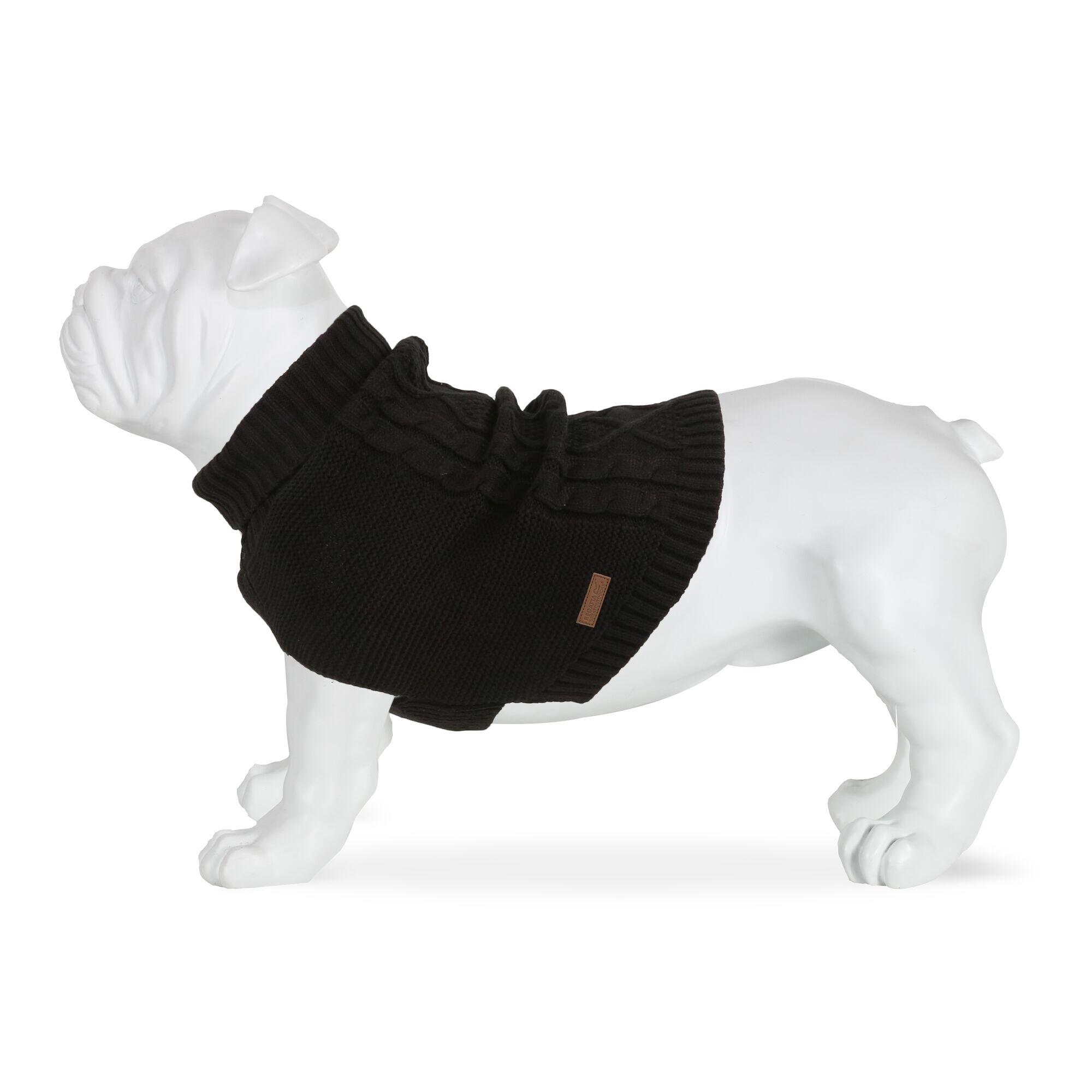 Pull pour chien 3/3