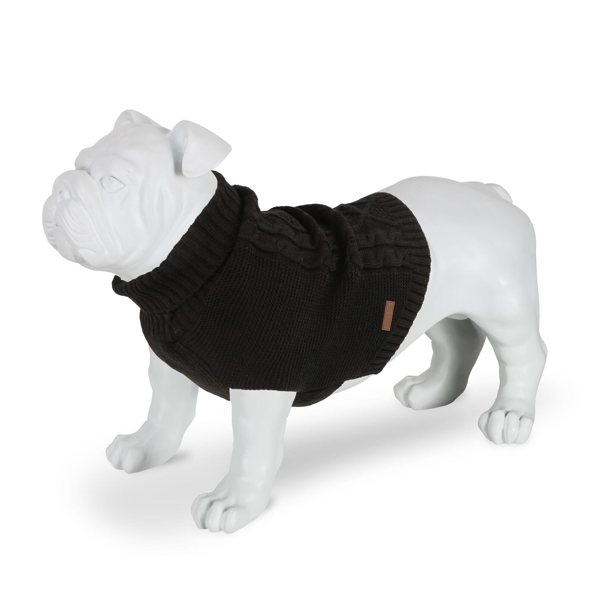Pull pour chien 2/3