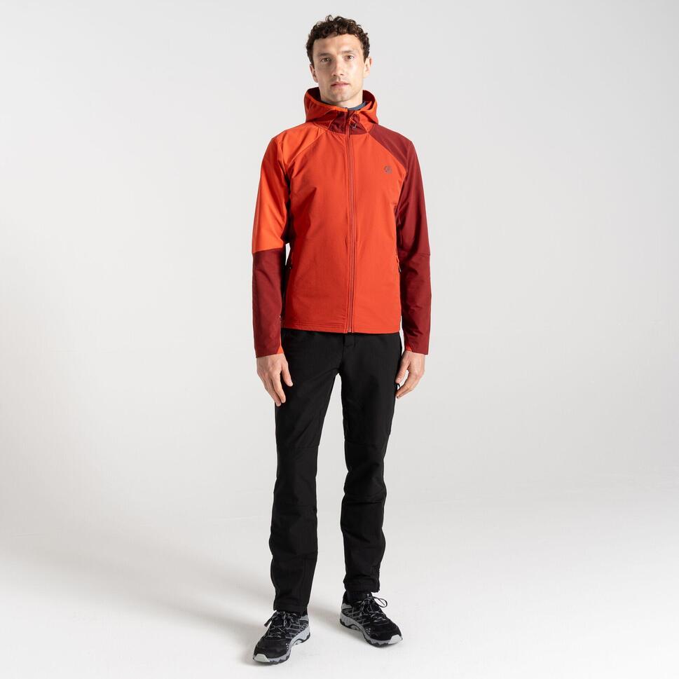 Lattitudinal II męski softshell