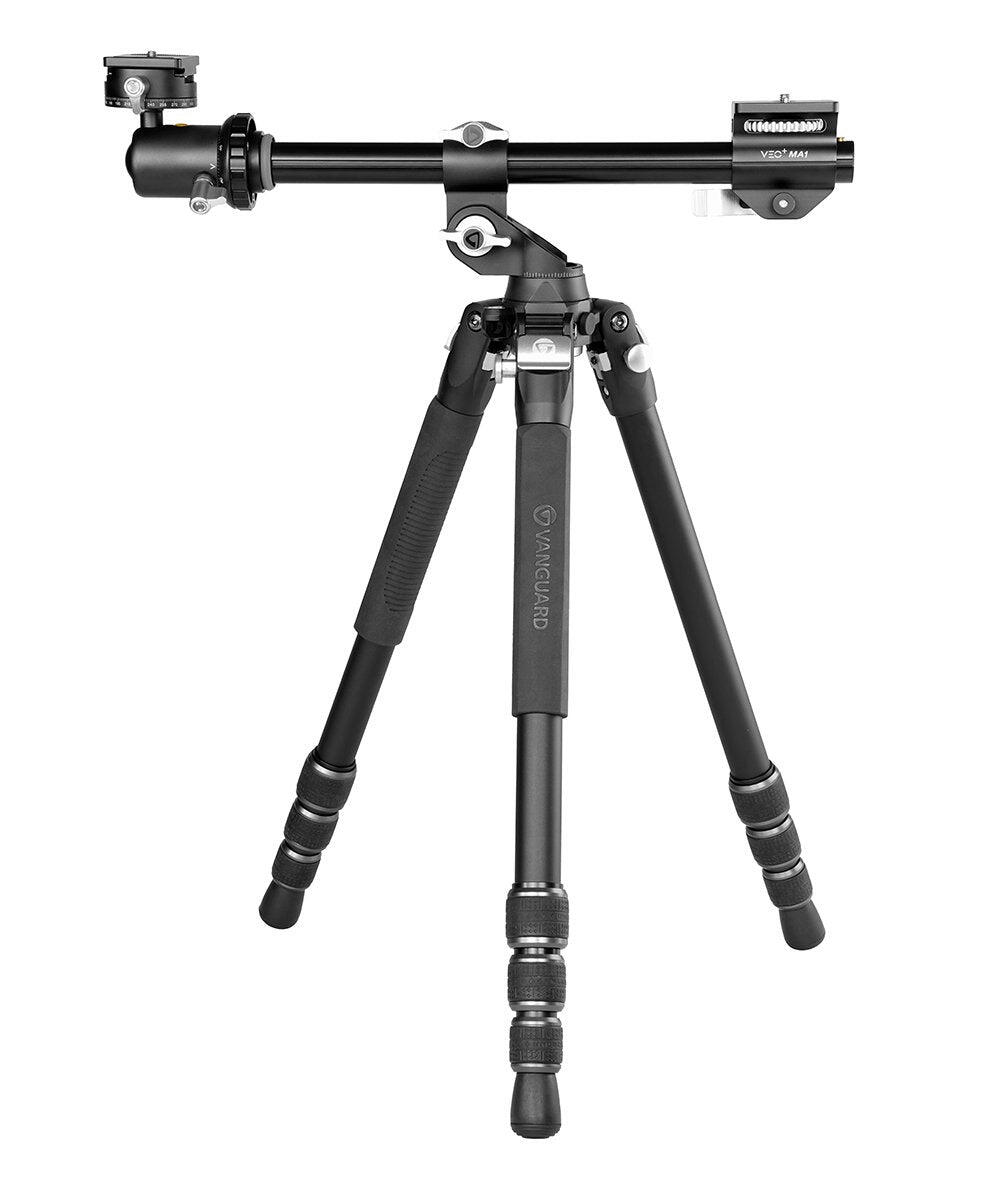 VANGUARD picture