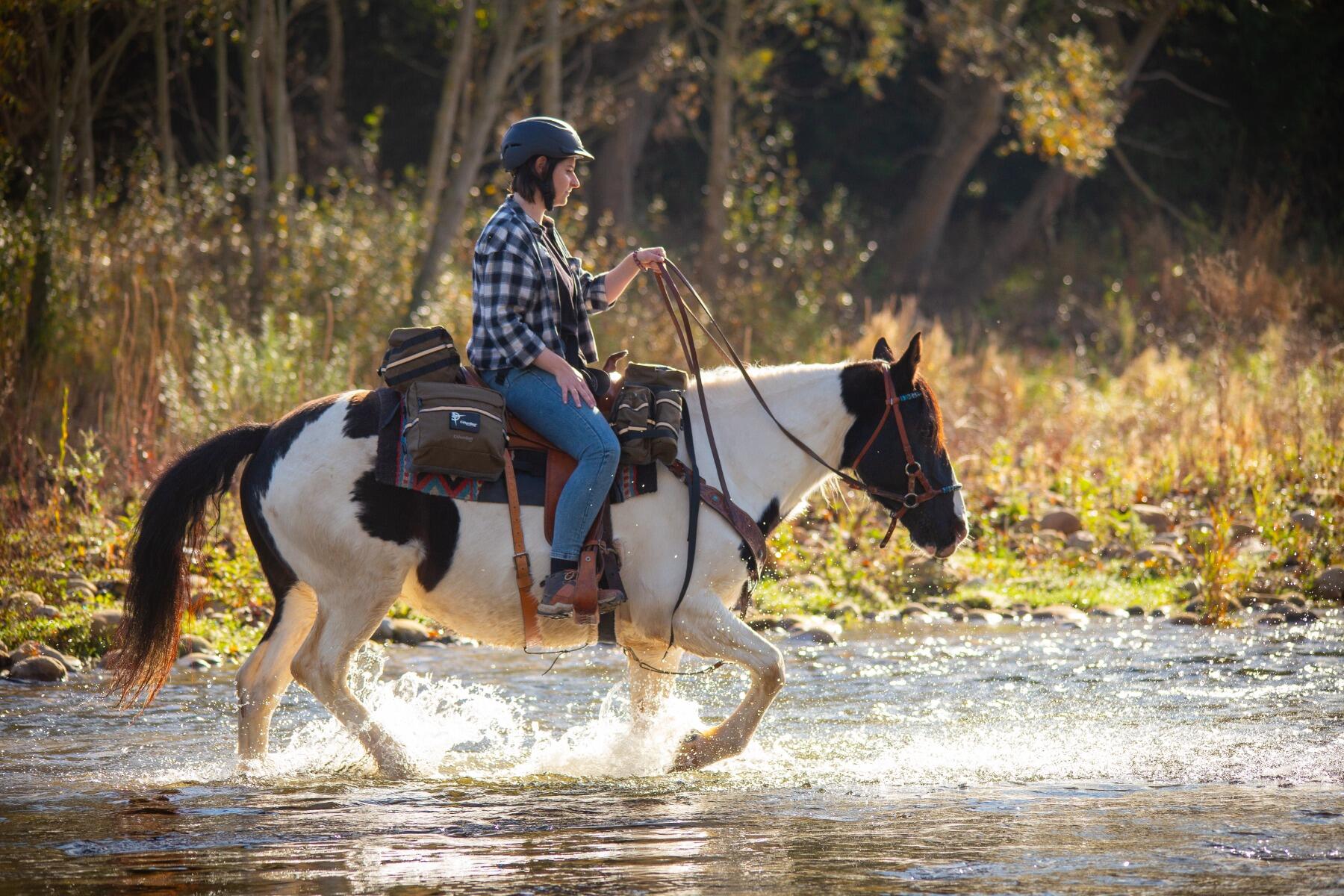 Sacoche Avant D'équitation Columbus Sonora Marron 5/7