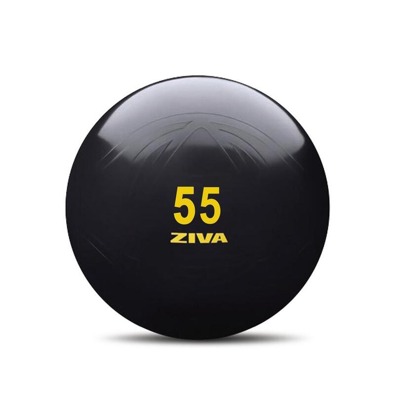 Fitball ZIVA classic 55cm