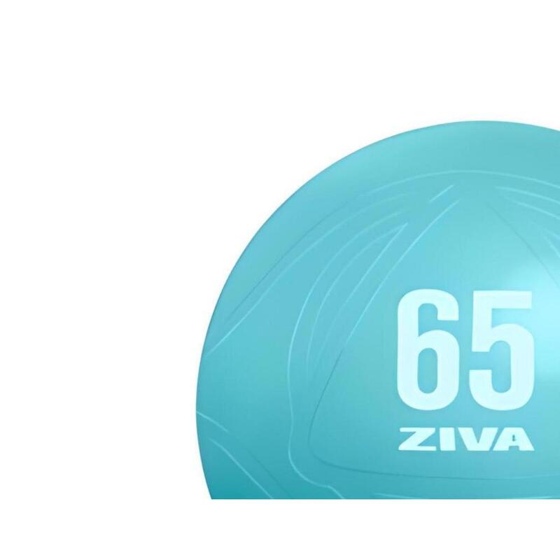 Fitball ZIVA chic 65cm