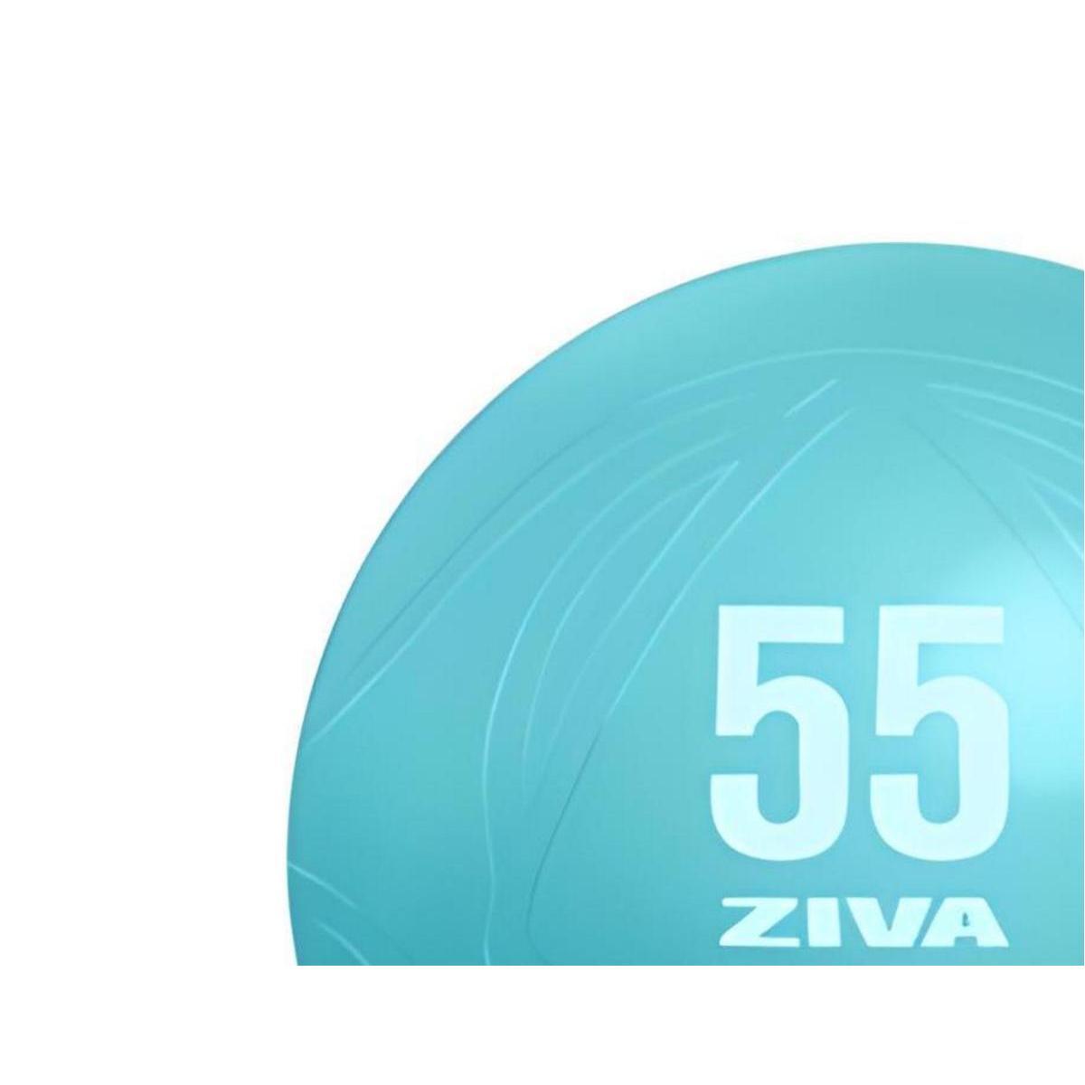 Fitball ZIVA chic 55cm 2/3