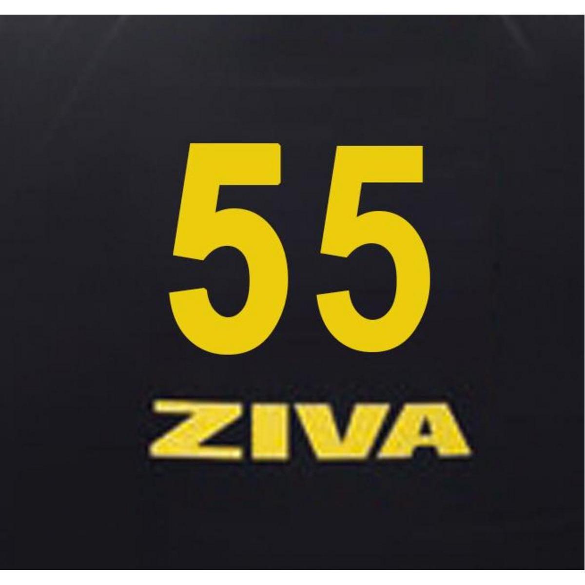 Fitball ZIVA classic 55cm 3/3
