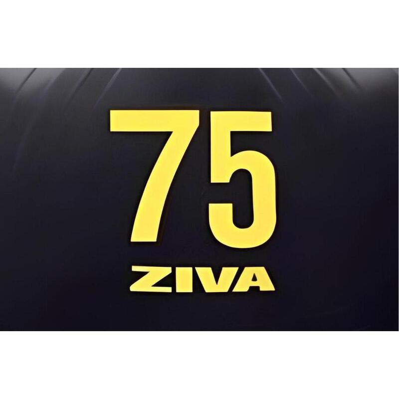 Fitball ZIVA essential PRO anti-burst 75cm