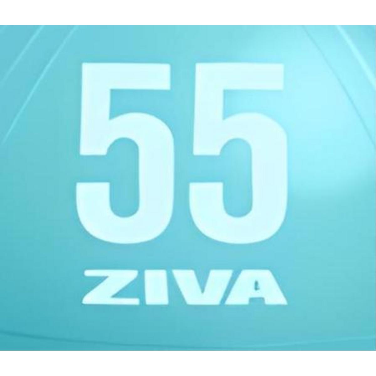 Fitball ZIVA chic 55cm 3/3