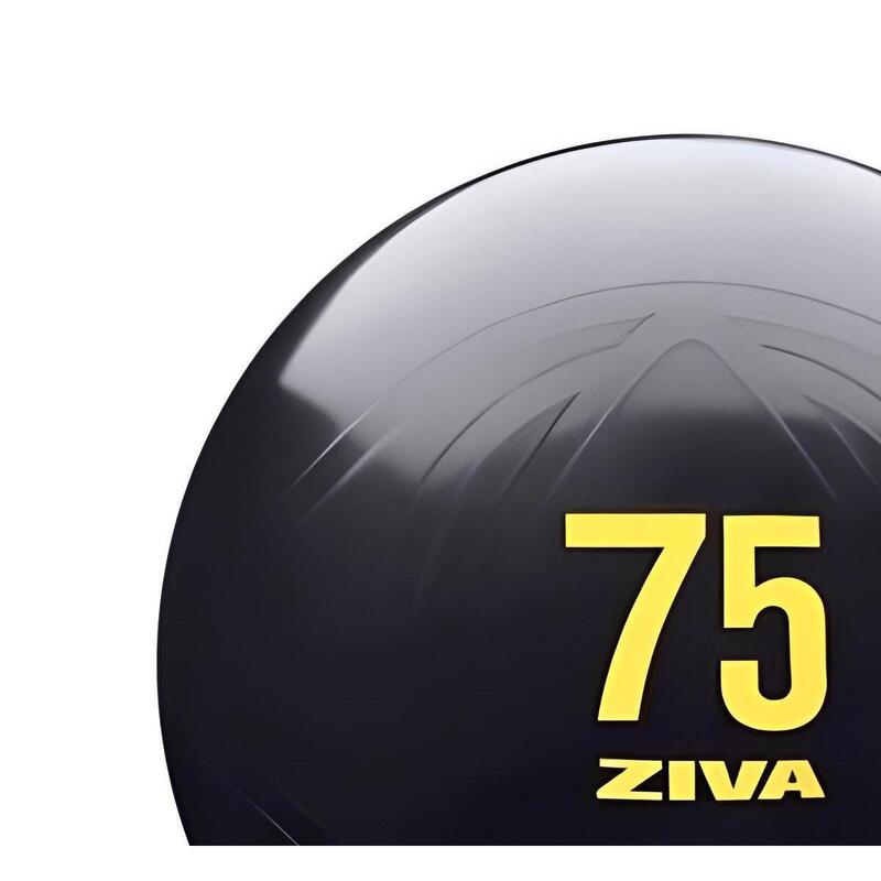 Fitball ZIVA essential PRO anti-burst 75cm