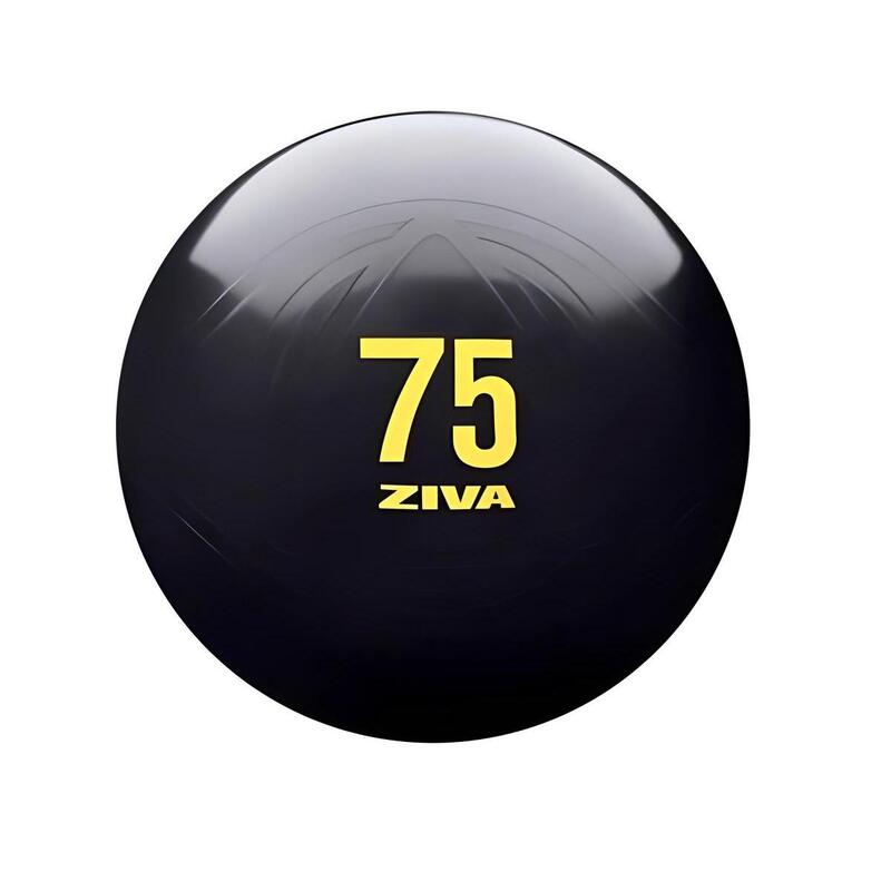 Fitball ZIVA essential PRO anti-burst 75cm