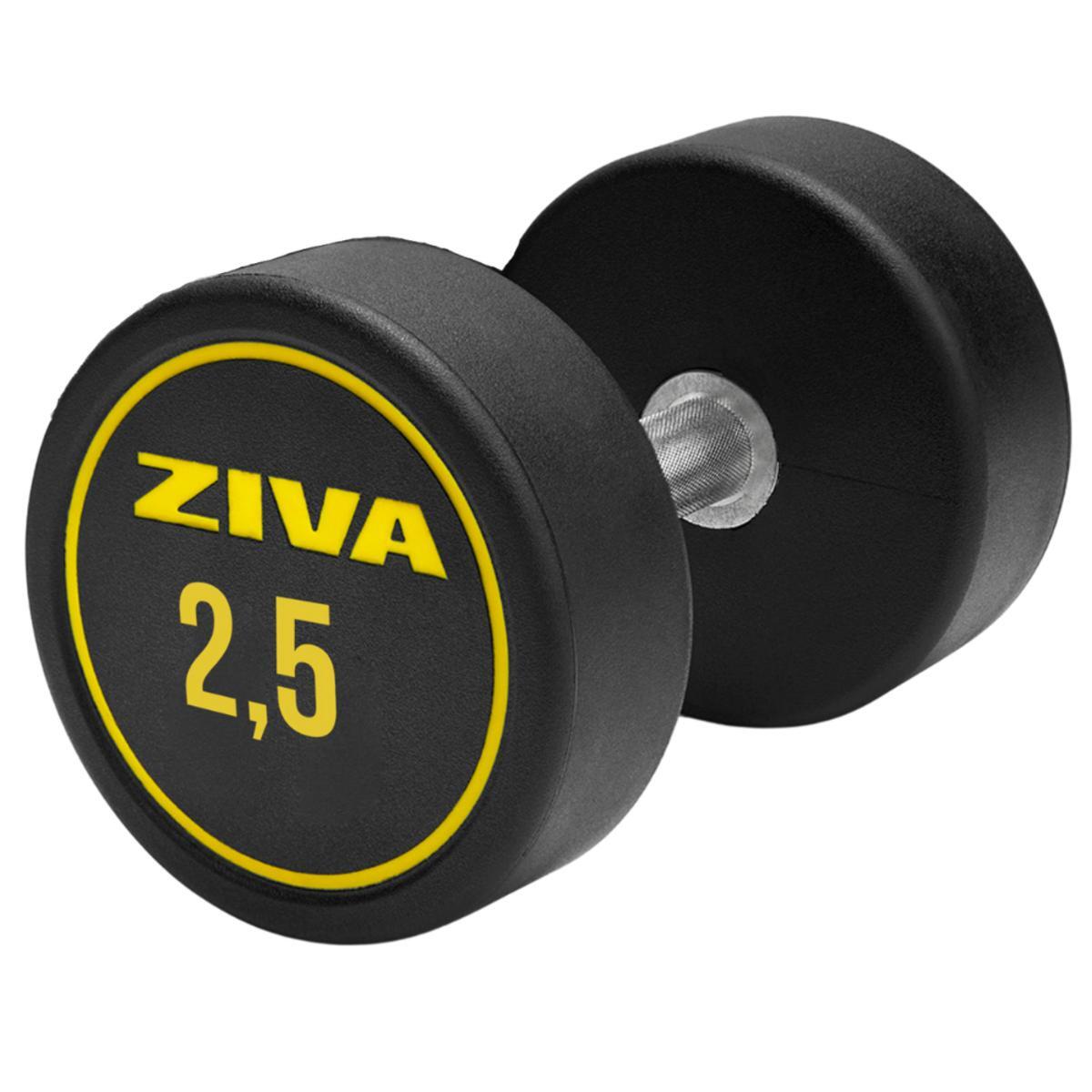 Mancuernas redonda ZIVA performance 2.5kg 1/3