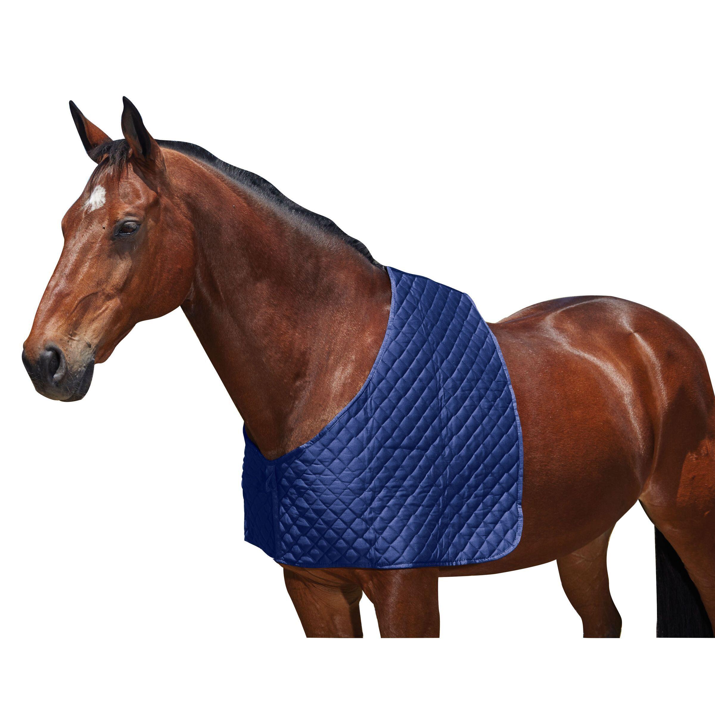 WEATHERBEETA Schouderbeschermer voor paarden Weatherbeeta Deluxe