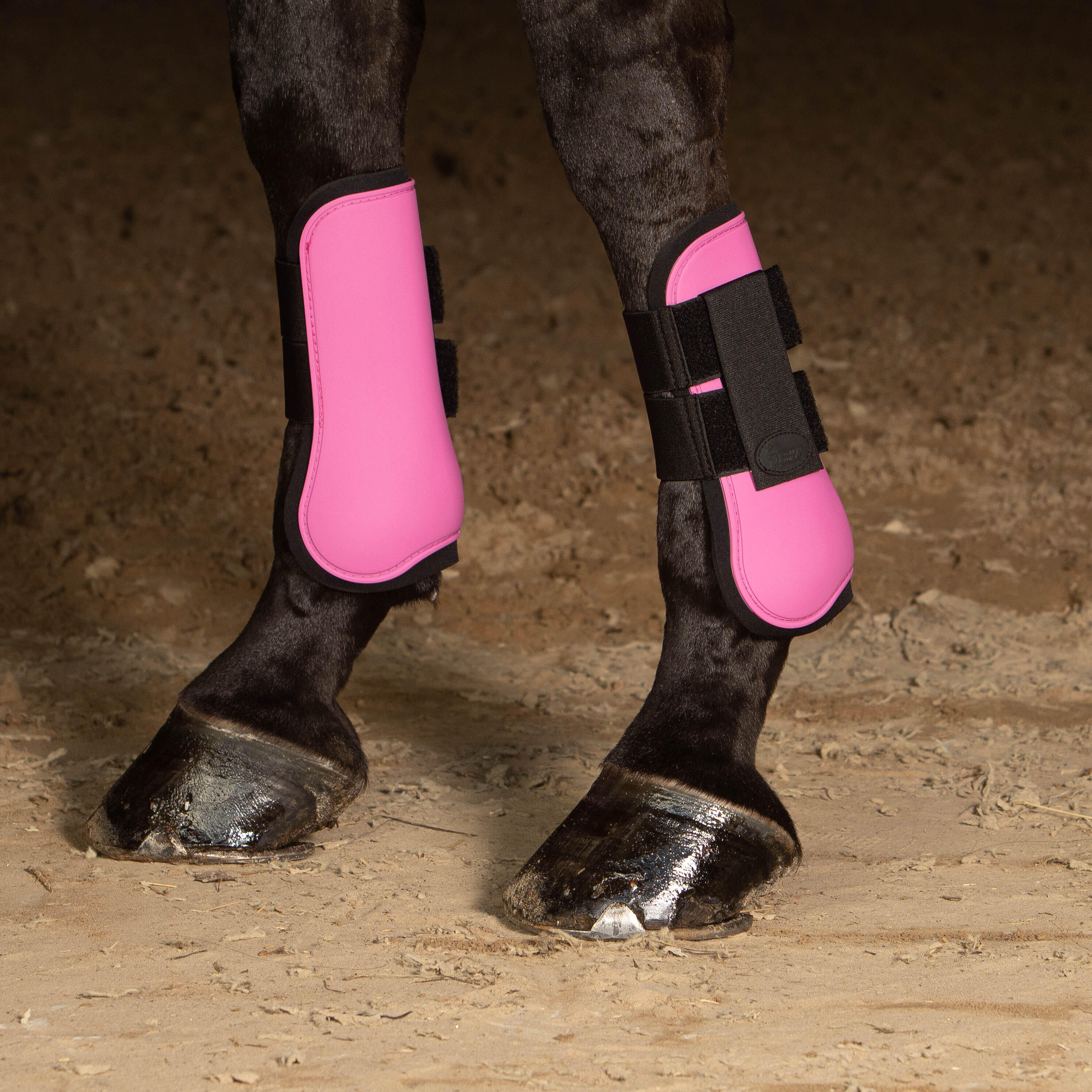 Basis peesbeschermer voor paarden Harry's Horse 2/2