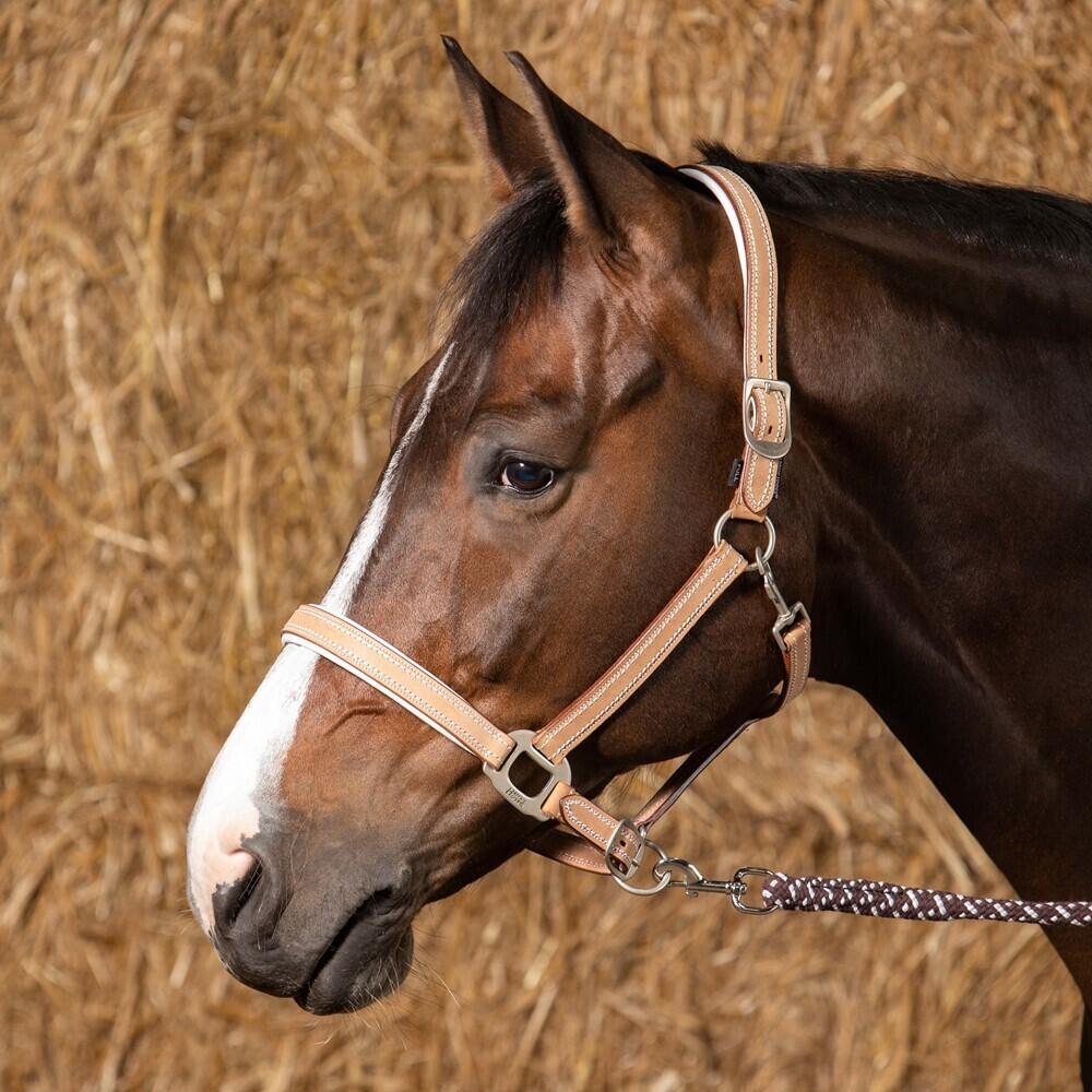 Licol pour cheval en cuir Harry's Horse Cremello 2/3