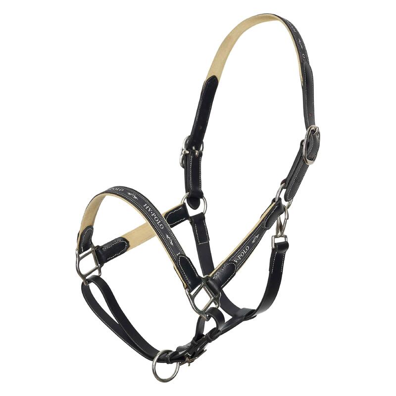 Licol pour cheval en cuir HV Polo Iconic