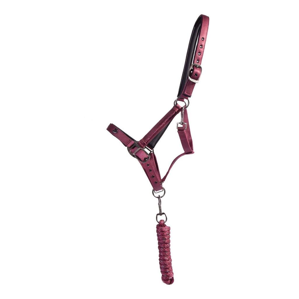 Halter and lead rope set for horse QHP Lily