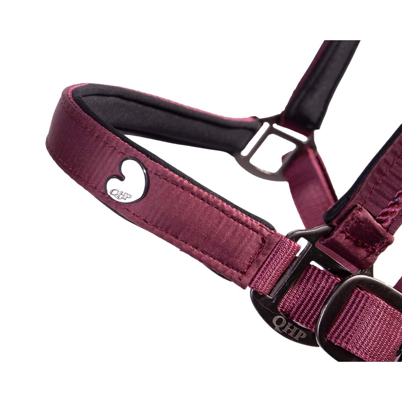 Ensemble licol et longe pour cheval QHP Lily 3/4