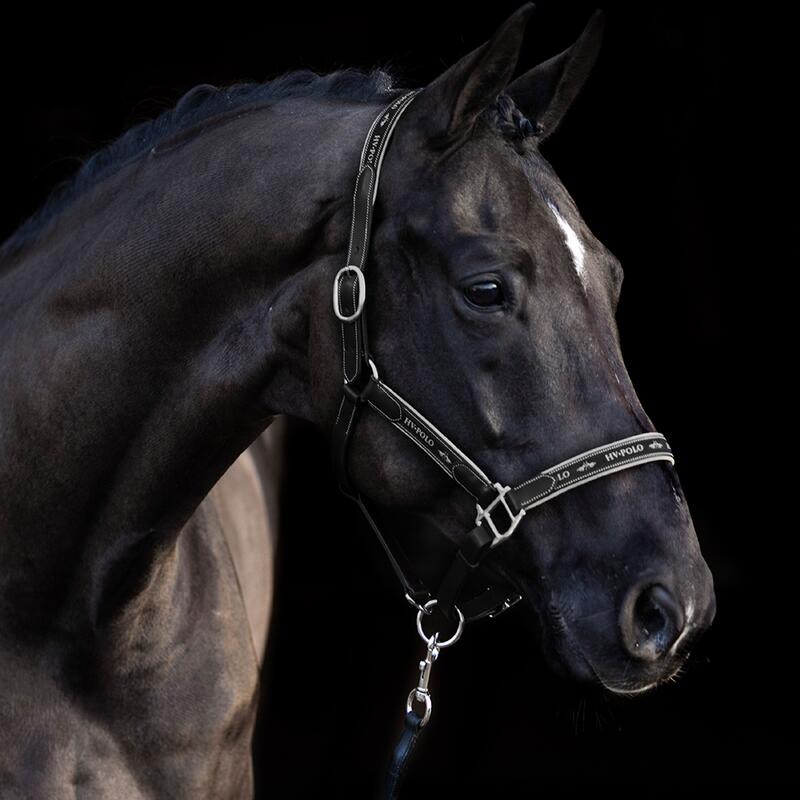 Lederhalfter für Pferde HV Polo Iconic