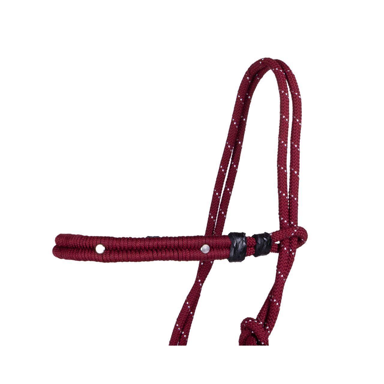 Multifunctional ethological halter QHP