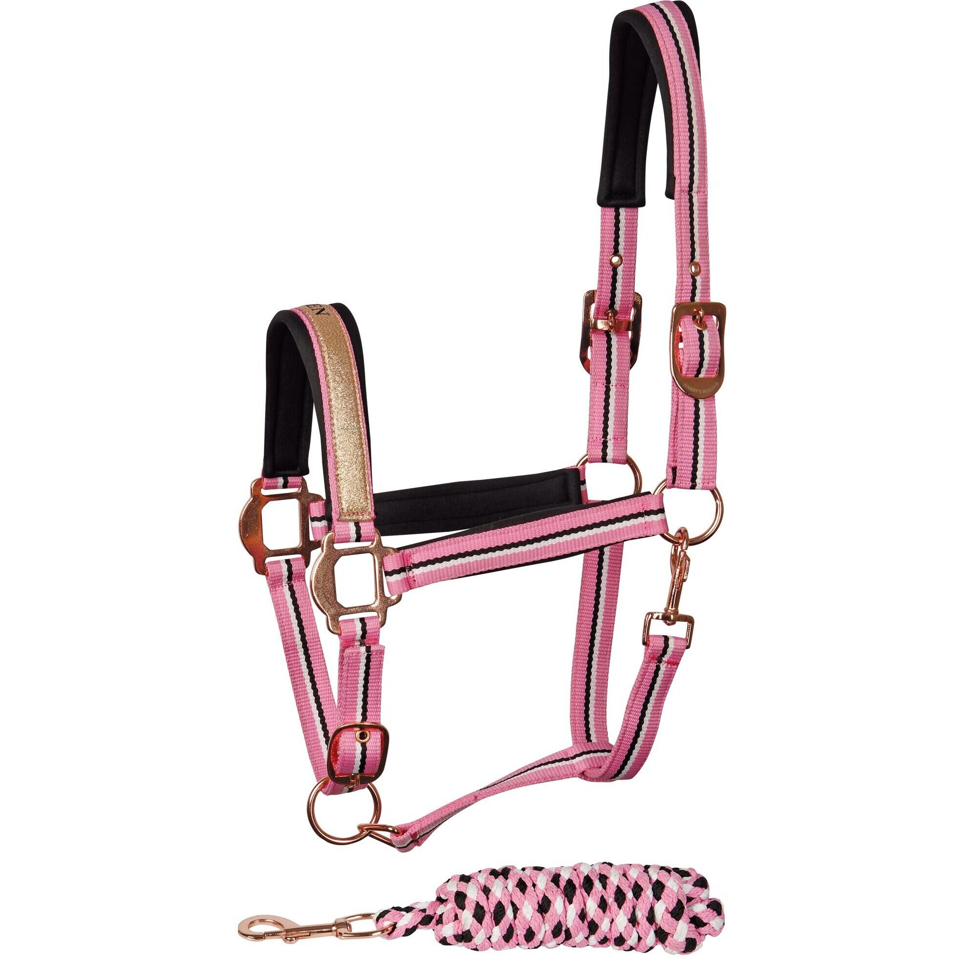 HARRYS HORSE Halsterset voor paard Harry's Horse Mare