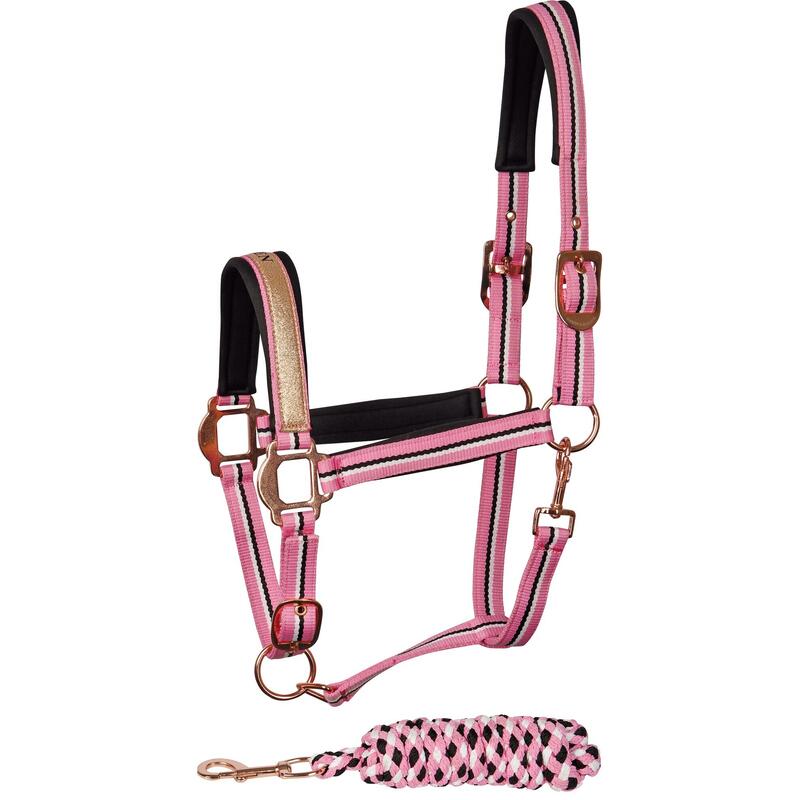 Halsterset voor paard Harry's Horse Mare