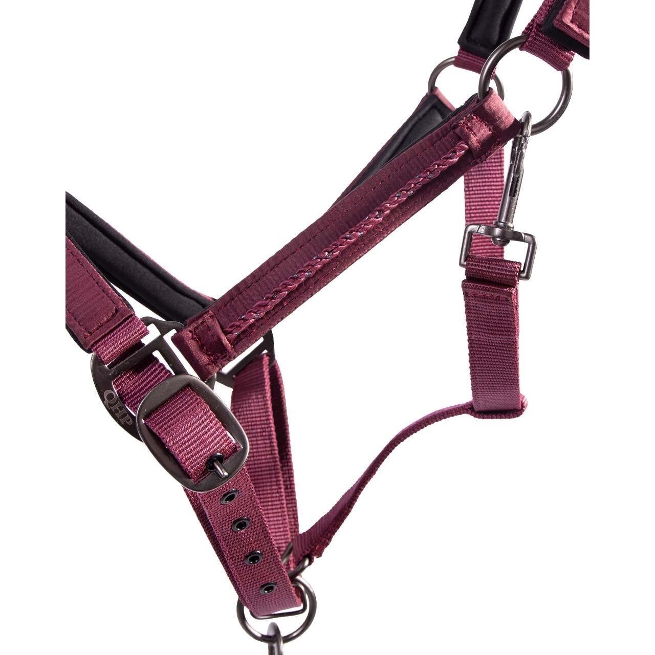 Ensemble licol et longe pour cheval QHP Lily 4/4
