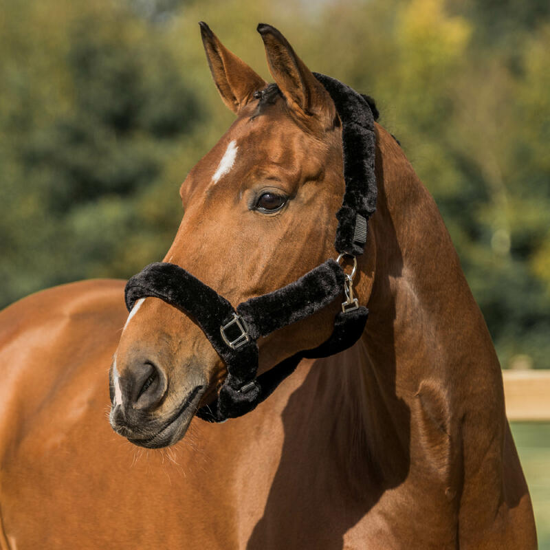 Paardenhalster met beschermend bont Horka