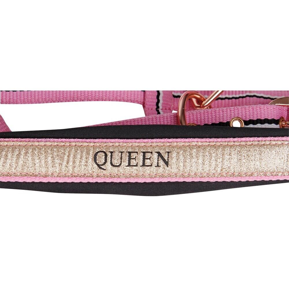 Halsterset voor paard Harry's Horse Mare 2/2