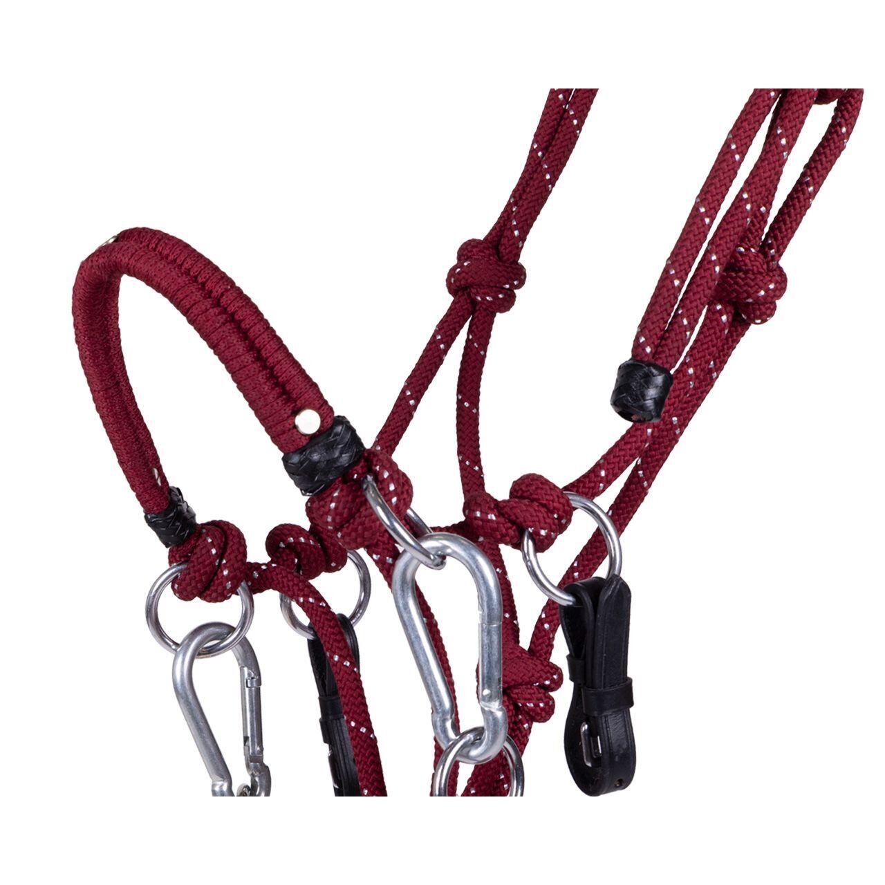 Multifunctional ethological halter QHP