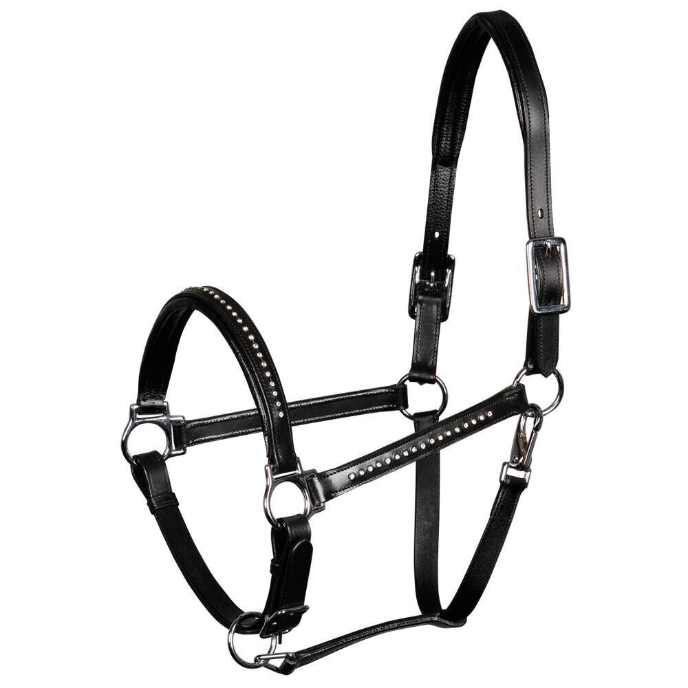 HARRYS HORSE Testiera per cavallo in pelle con cristalli Harry's Horse Finesse