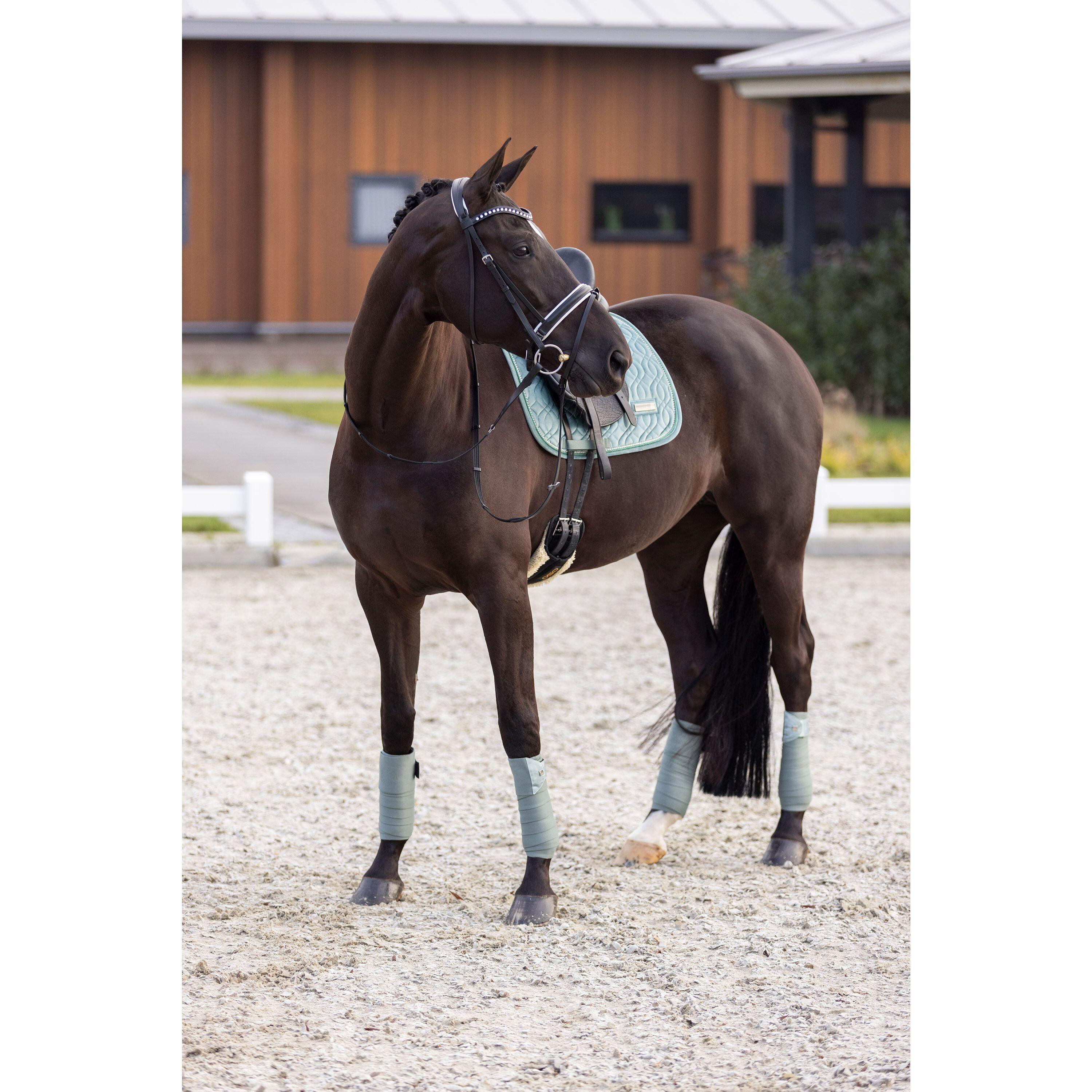 Sella da dressage per cavalli Imperial Riding Sky 2/2