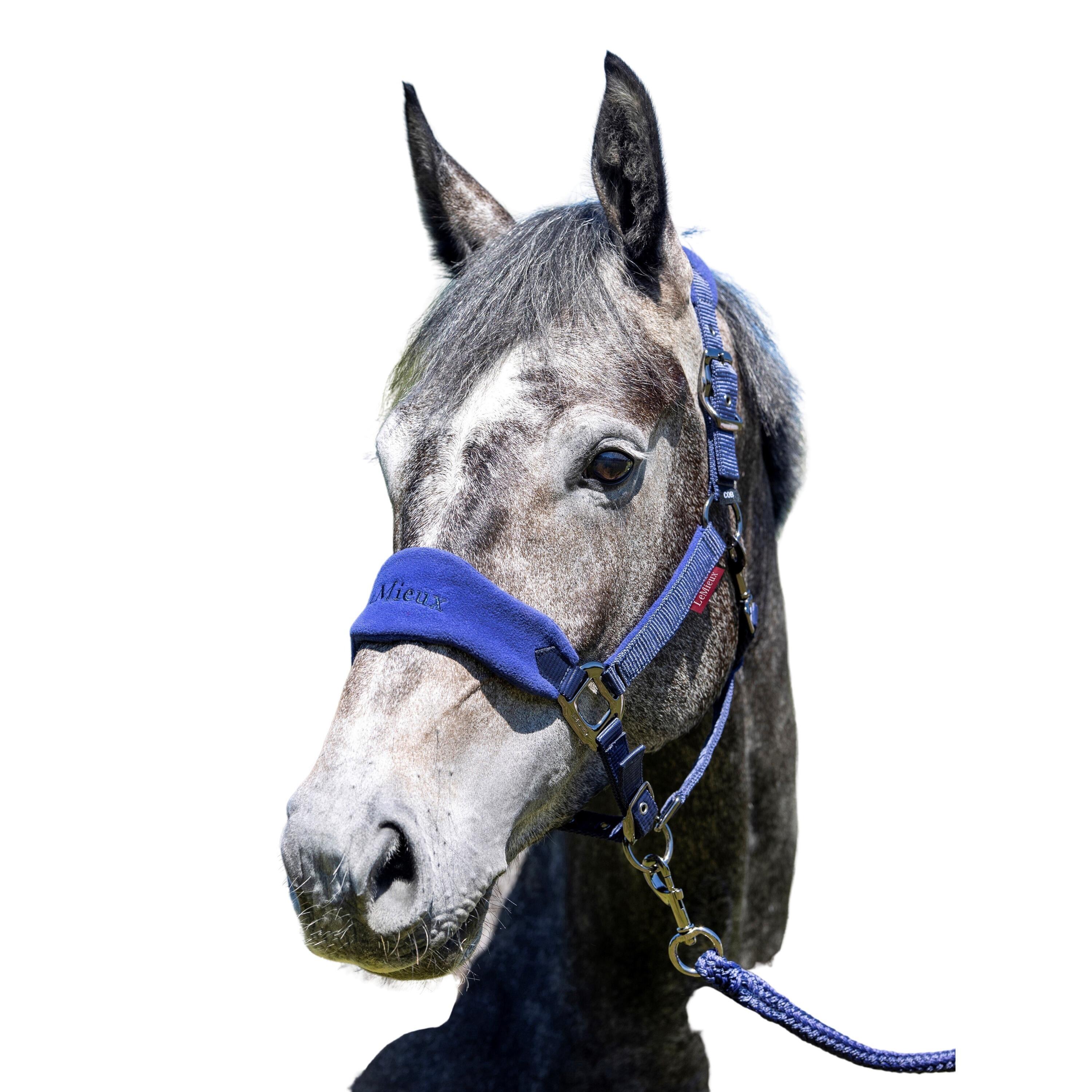 Horse halter with scabbard LeMieux