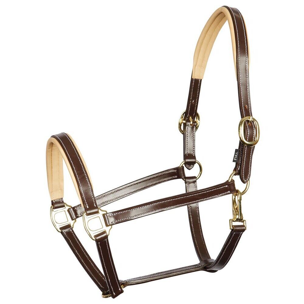 HARRYS HORSE picture