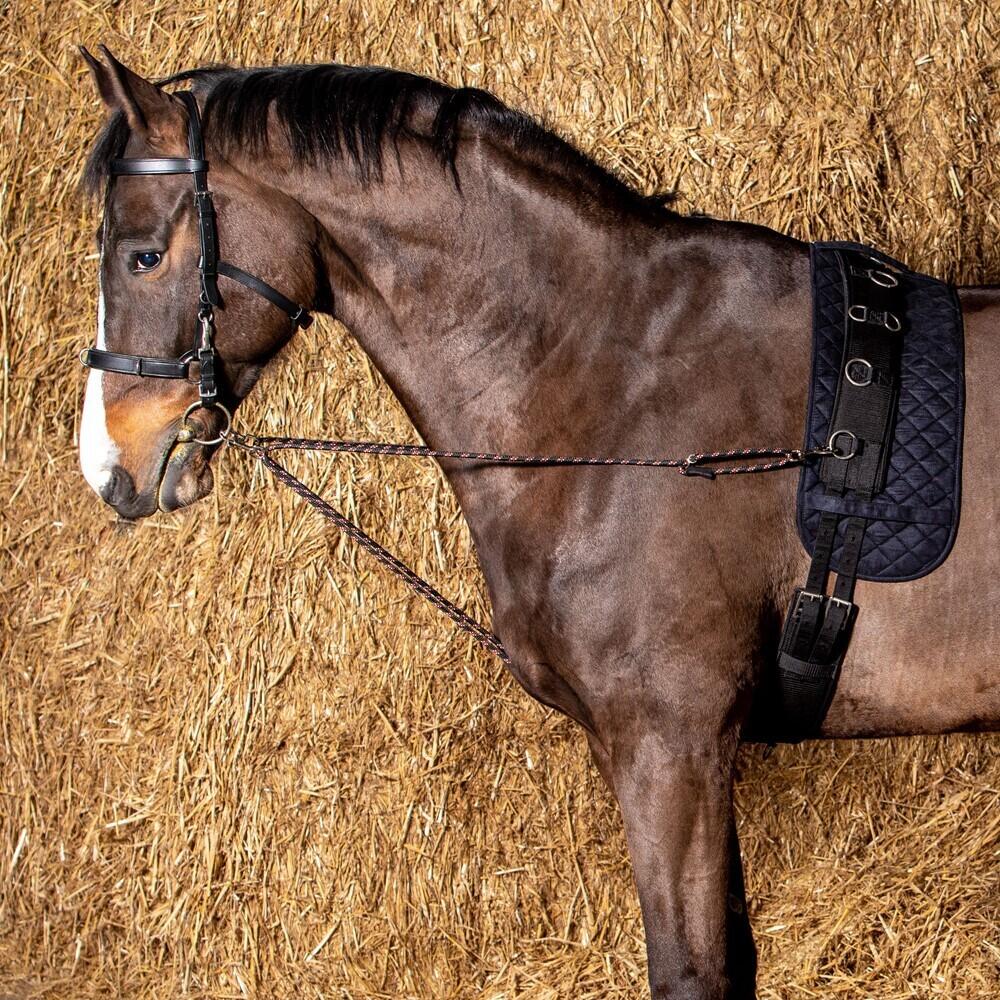 Paire de longes Harry's Horse V-line 2/2