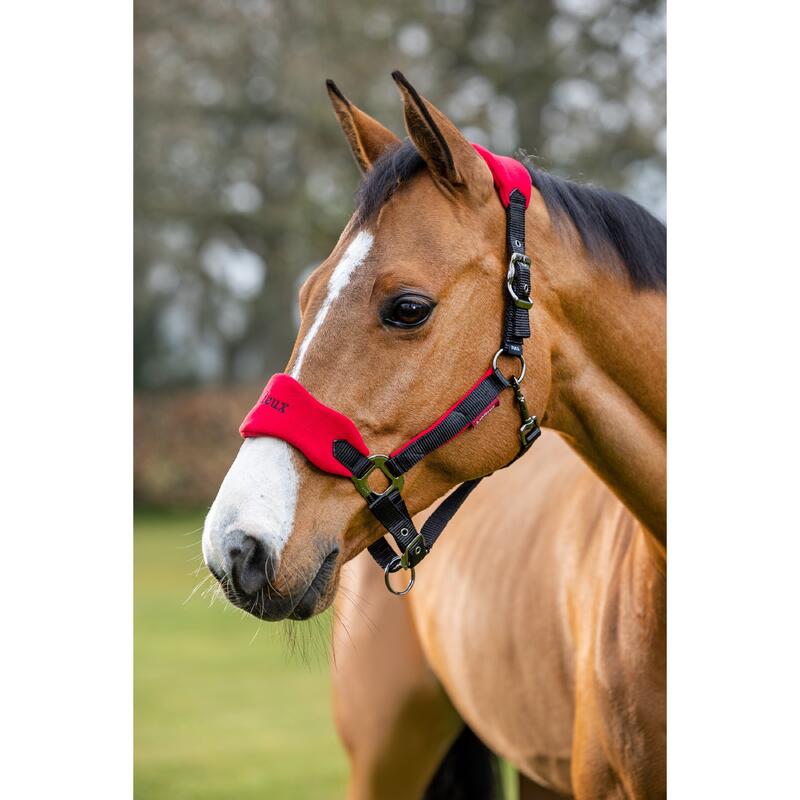 Licol pour cheval avec fourreau LeMieux