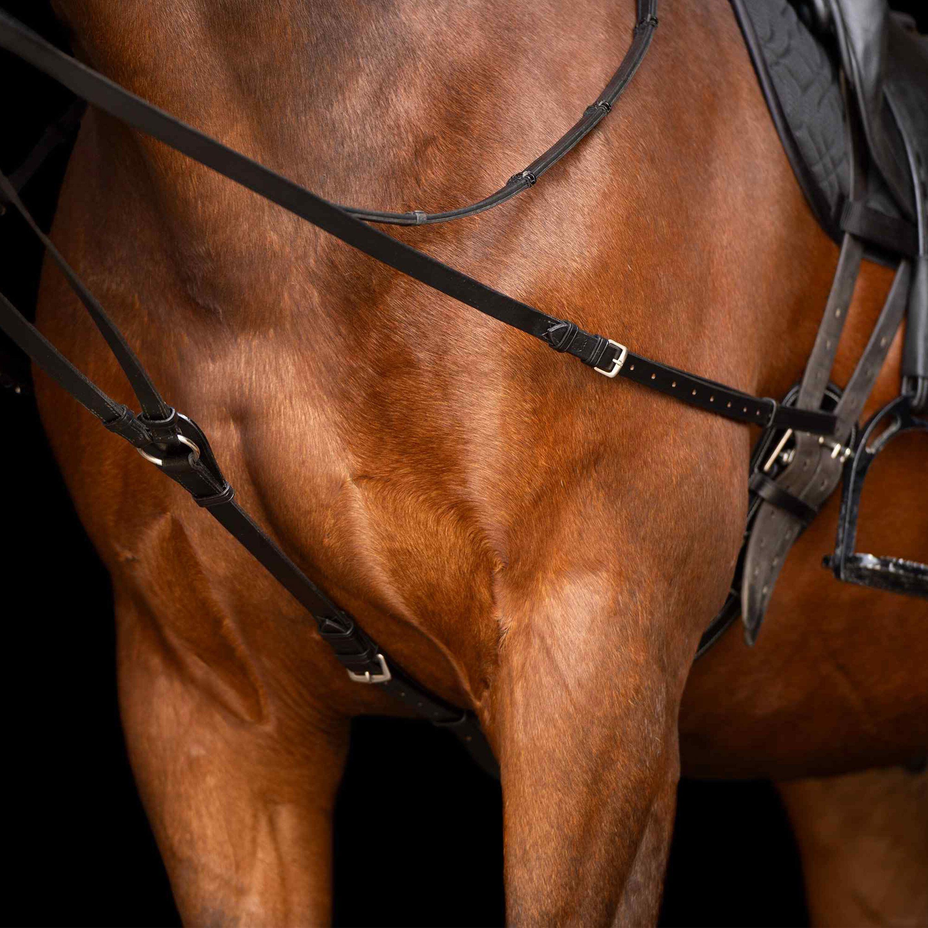 Redini per cavalli Imperial Riding Core 3/3