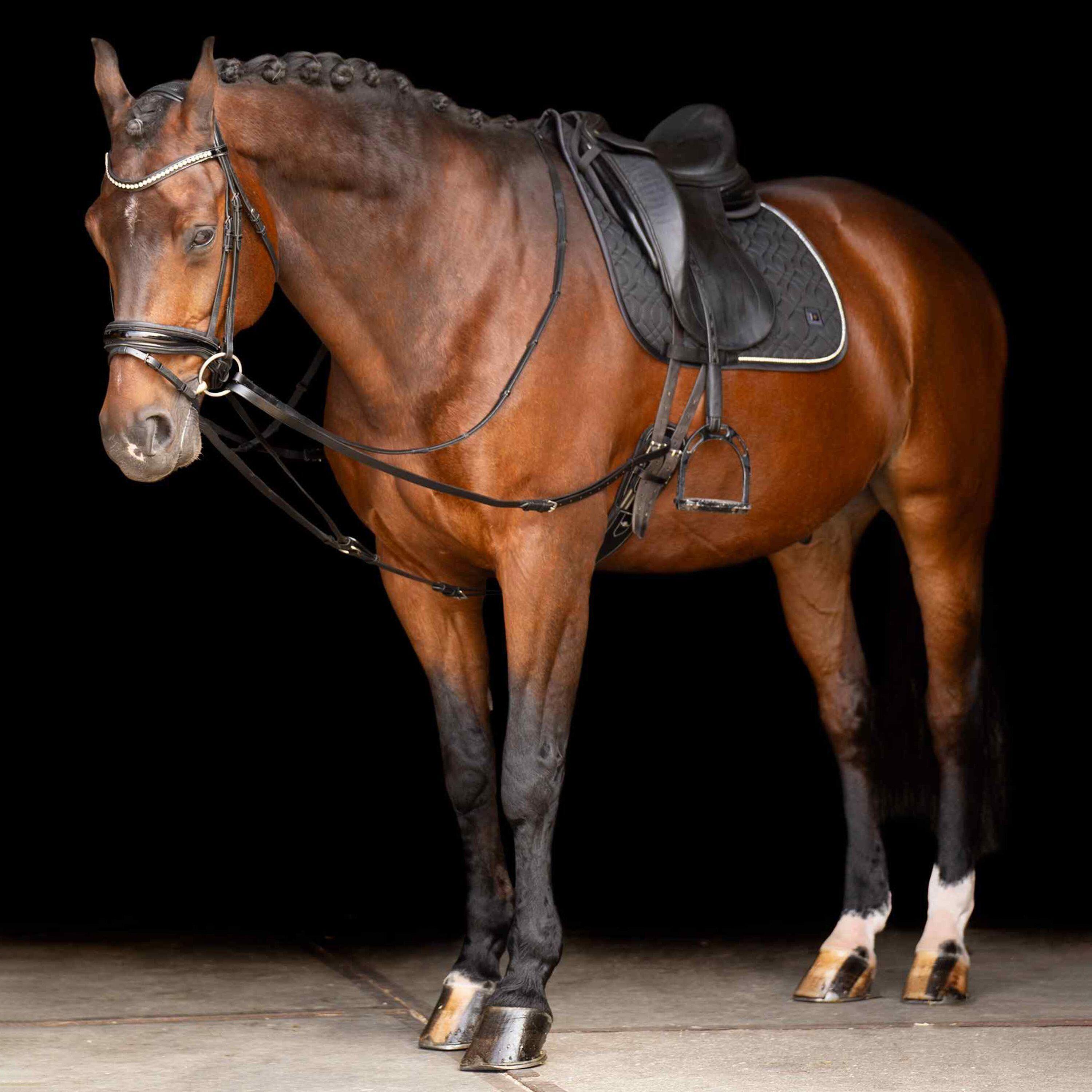 Rênes Latérales En Cuir Avec Élastique - Imperial Riding (Neuf)