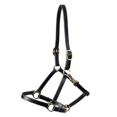 Leren halster voor paarden premier equine