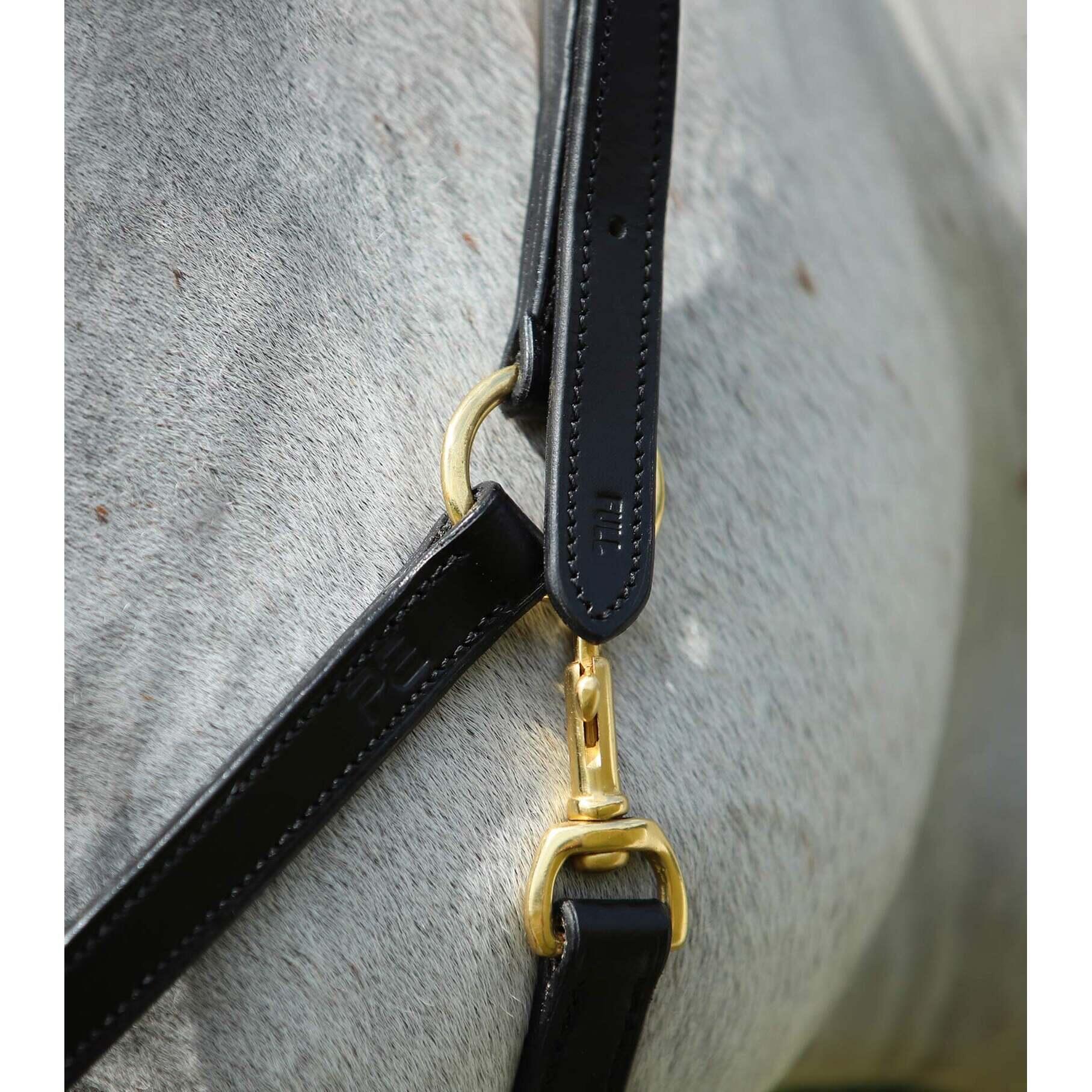 Leren halster voor paarden Premier Equine 3/4