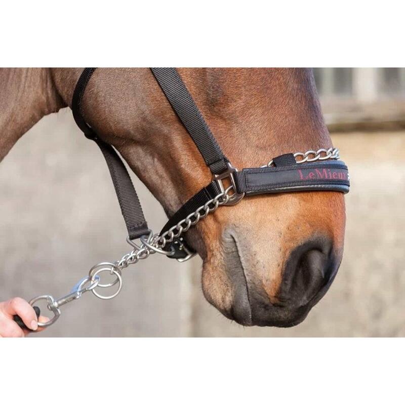 Halfter prosafe headcollar