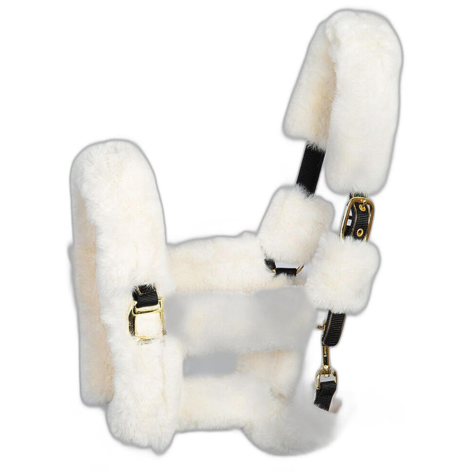 HKM Hobby Horsing – Ensemble Licol + Longe Pour Cheval De Bâton / Hobby Horse – Noir – Accessoire Jouet Cheval