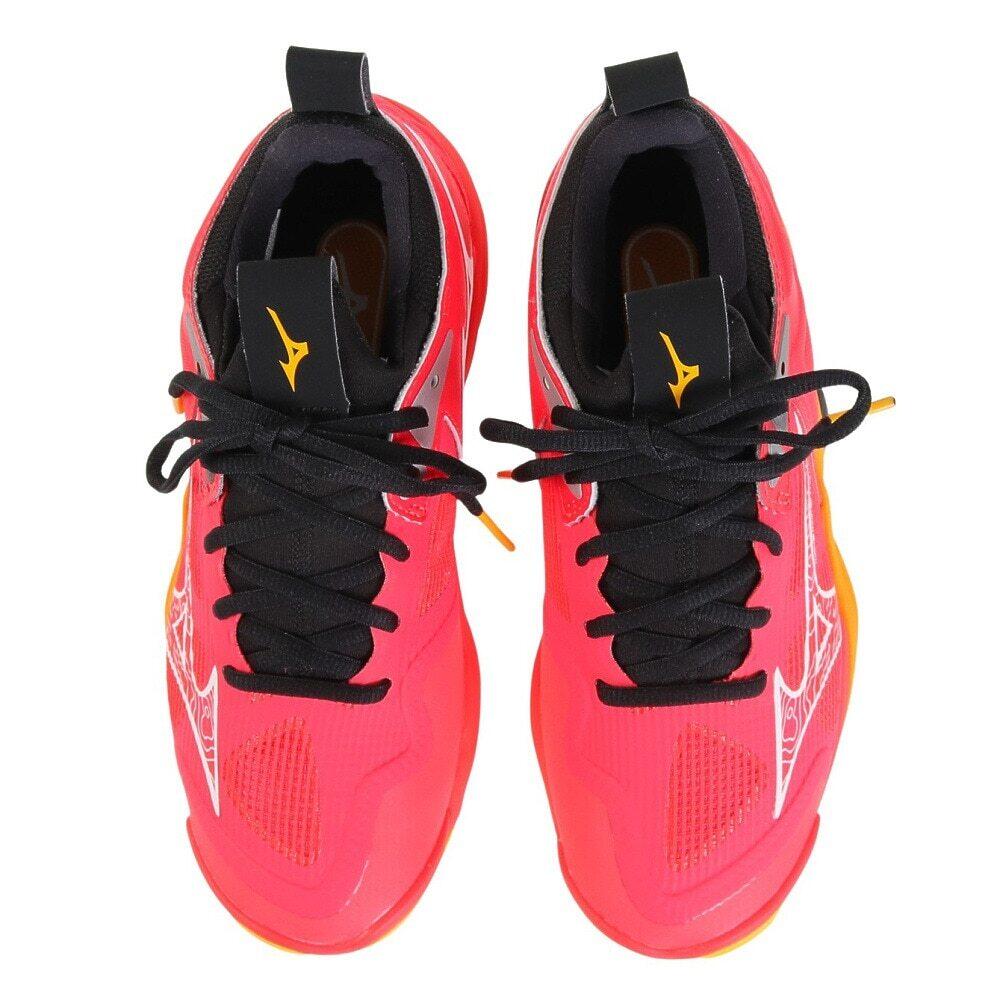 Indoor schoenen Mizuno Wave Momentum 4/7