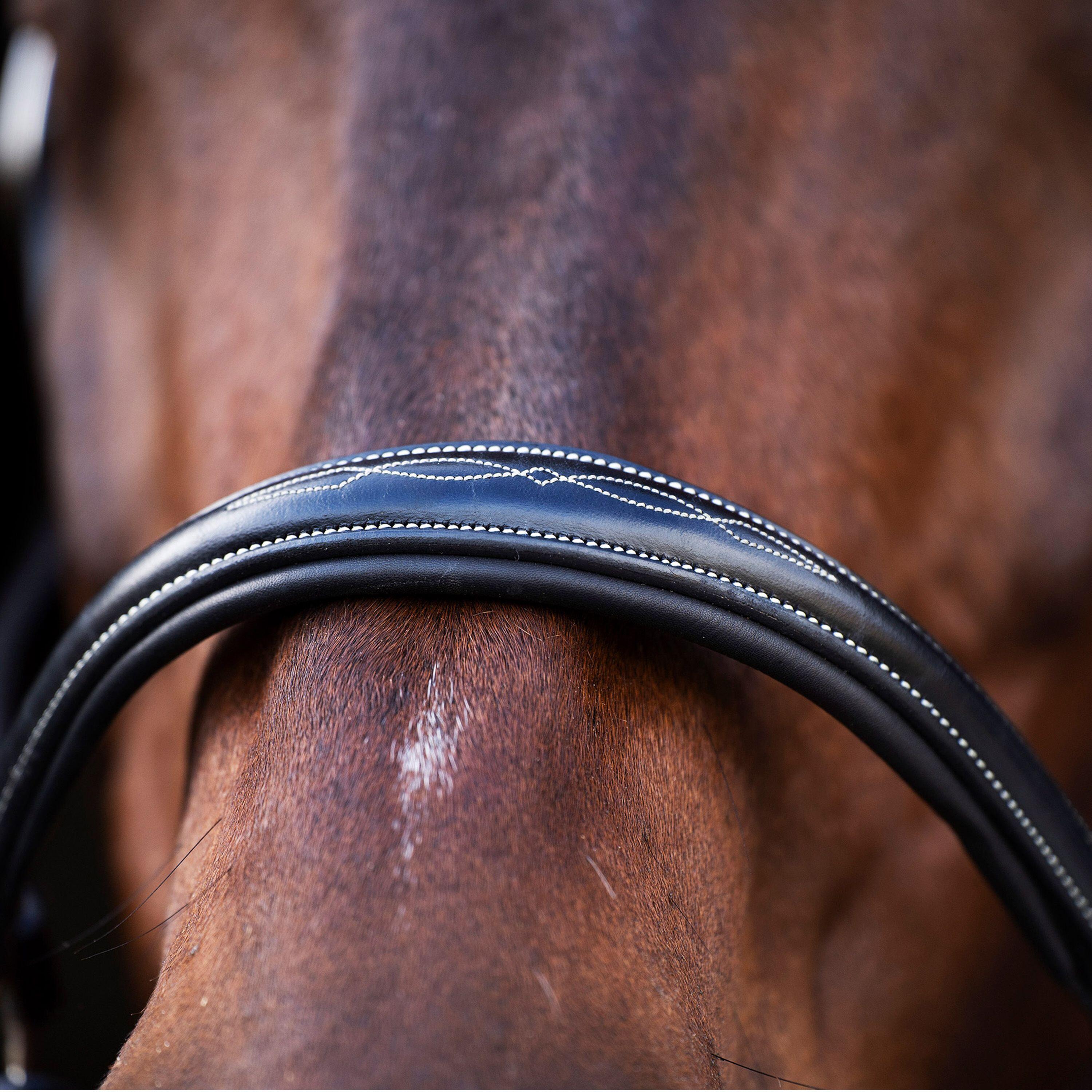 Cavezza per cavalli HV Polo Legacy 4/6