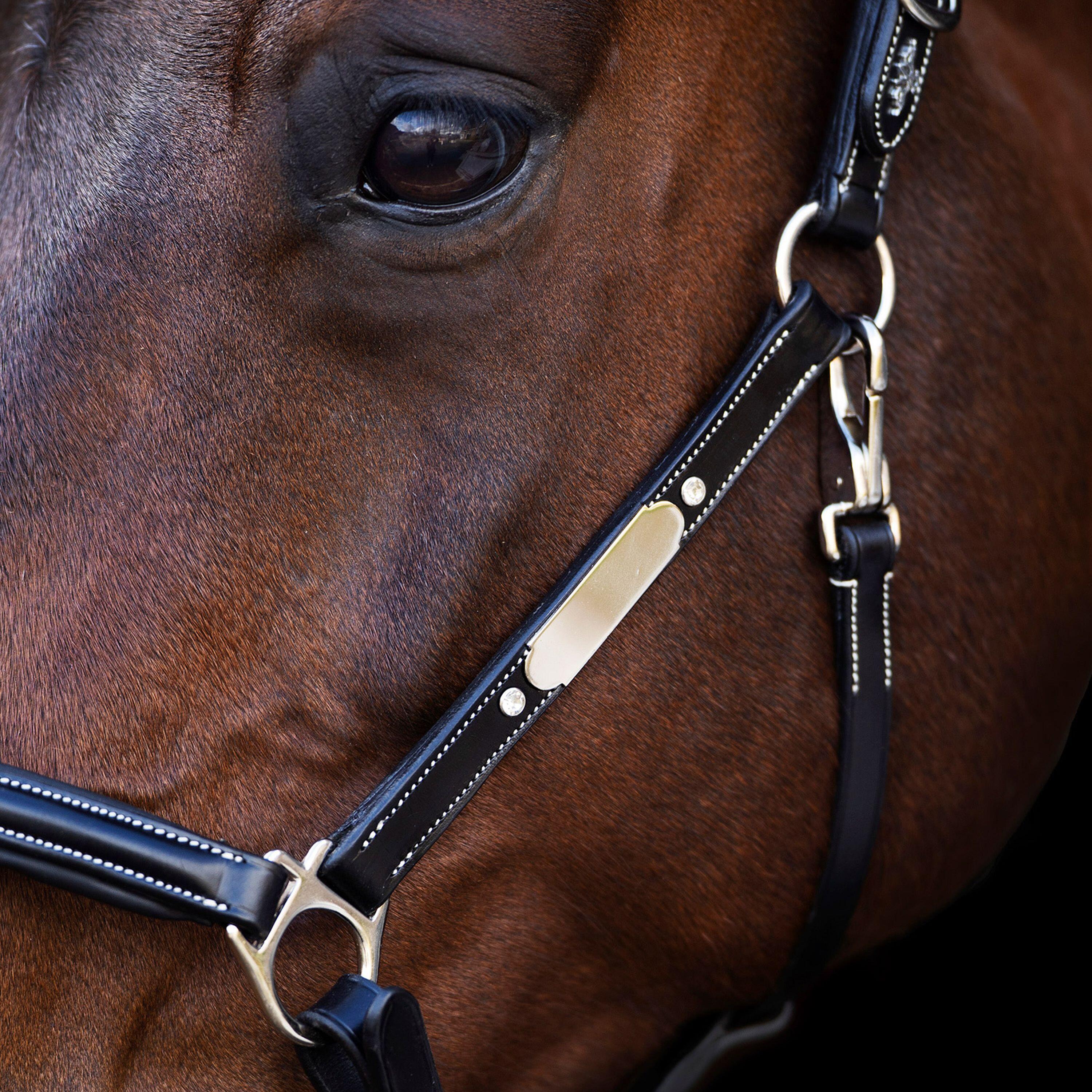 Cavezza per cavalli HV Polo Legacy 3/6