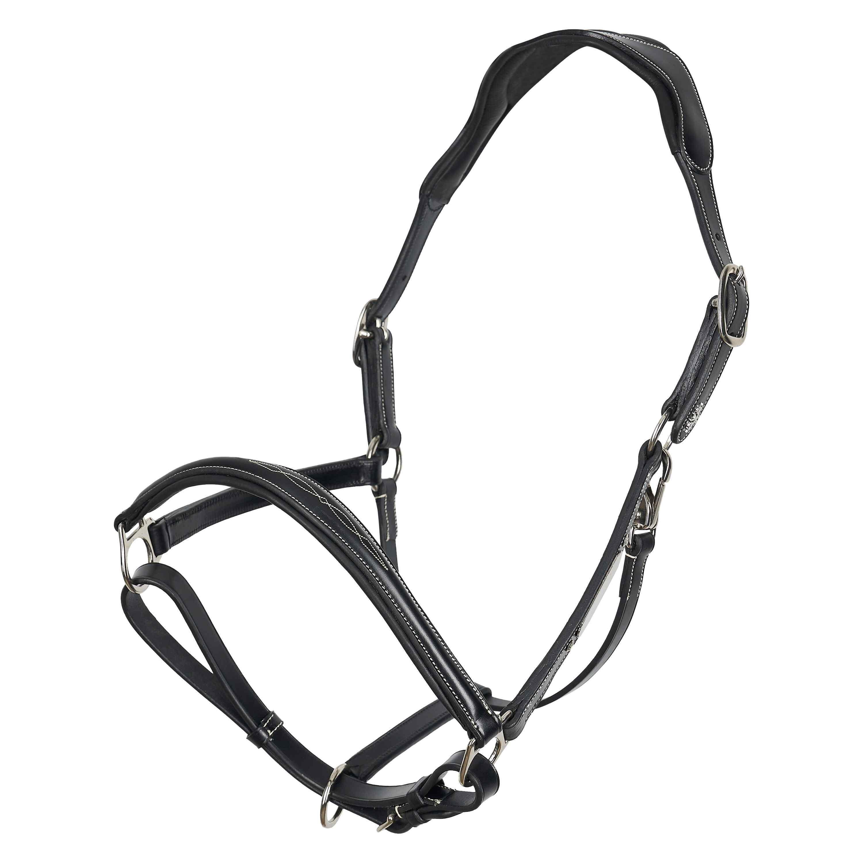 Hv Polo - Licol Pour Cheval Hv Polo Legacy - Licol - Noir - Cs - Decathlon